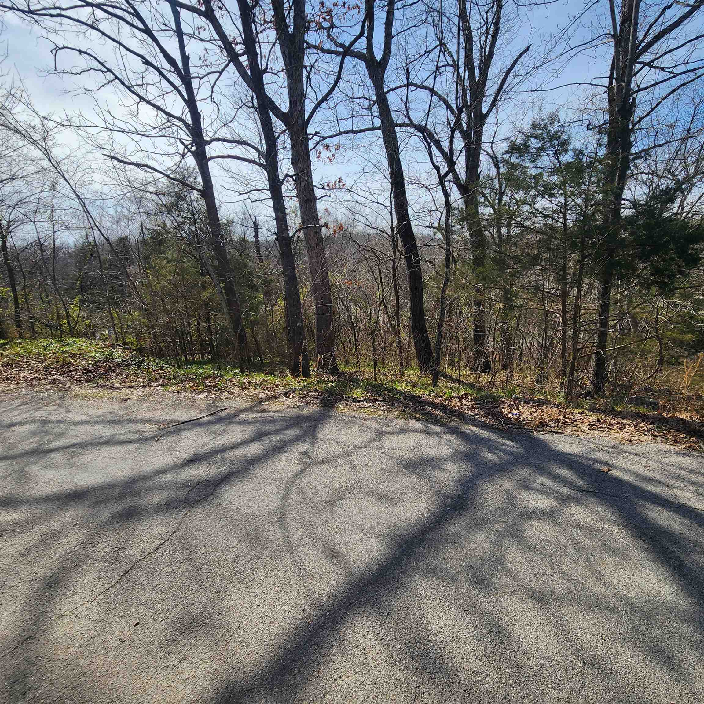 Photo 16 - Vacant Land for sale – L-3, B-24  Algonquin   Cherokee Village, AR