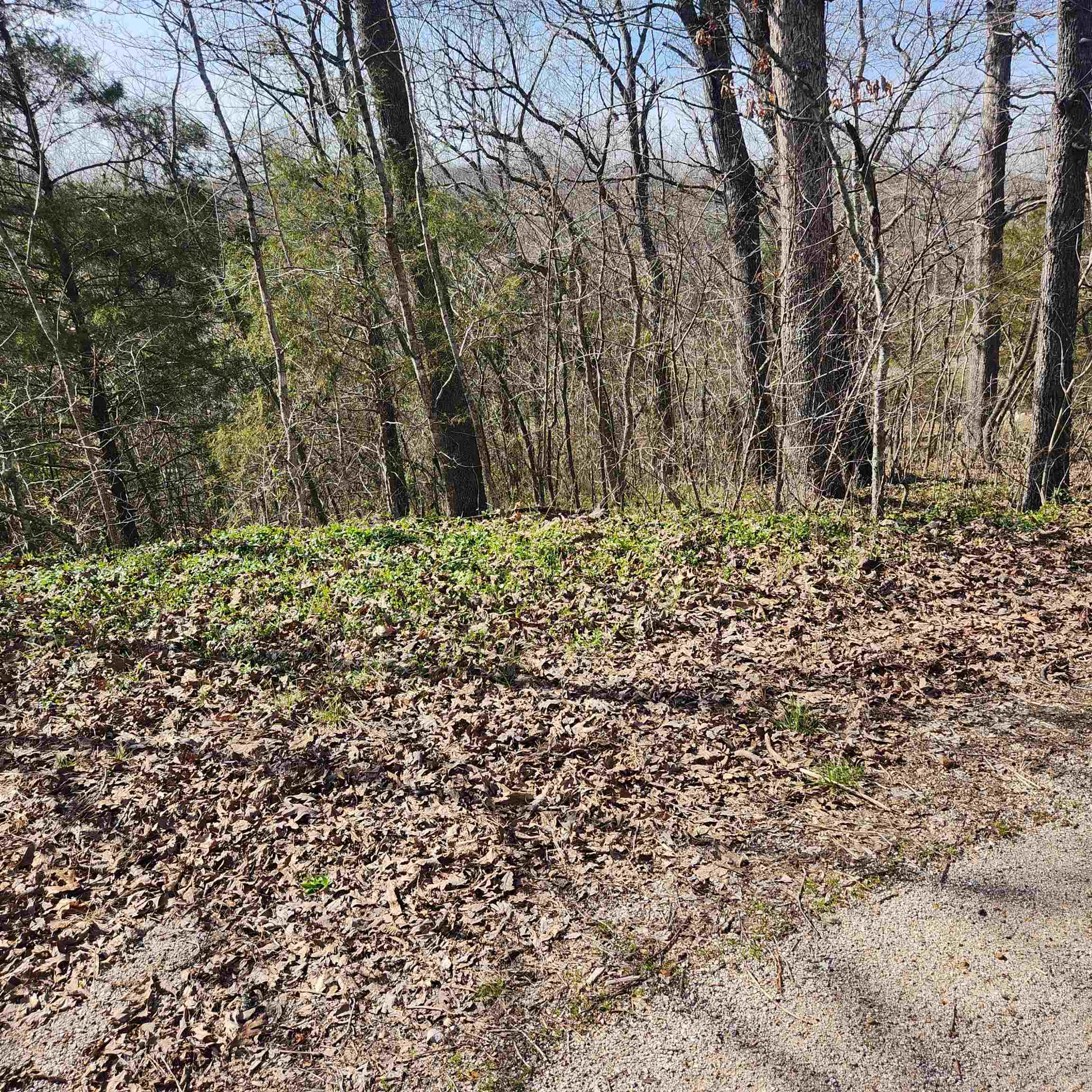 Photo 3 - Vacant Land for sale – L-3, B-24  Algonquin   Cherokee Village, AR