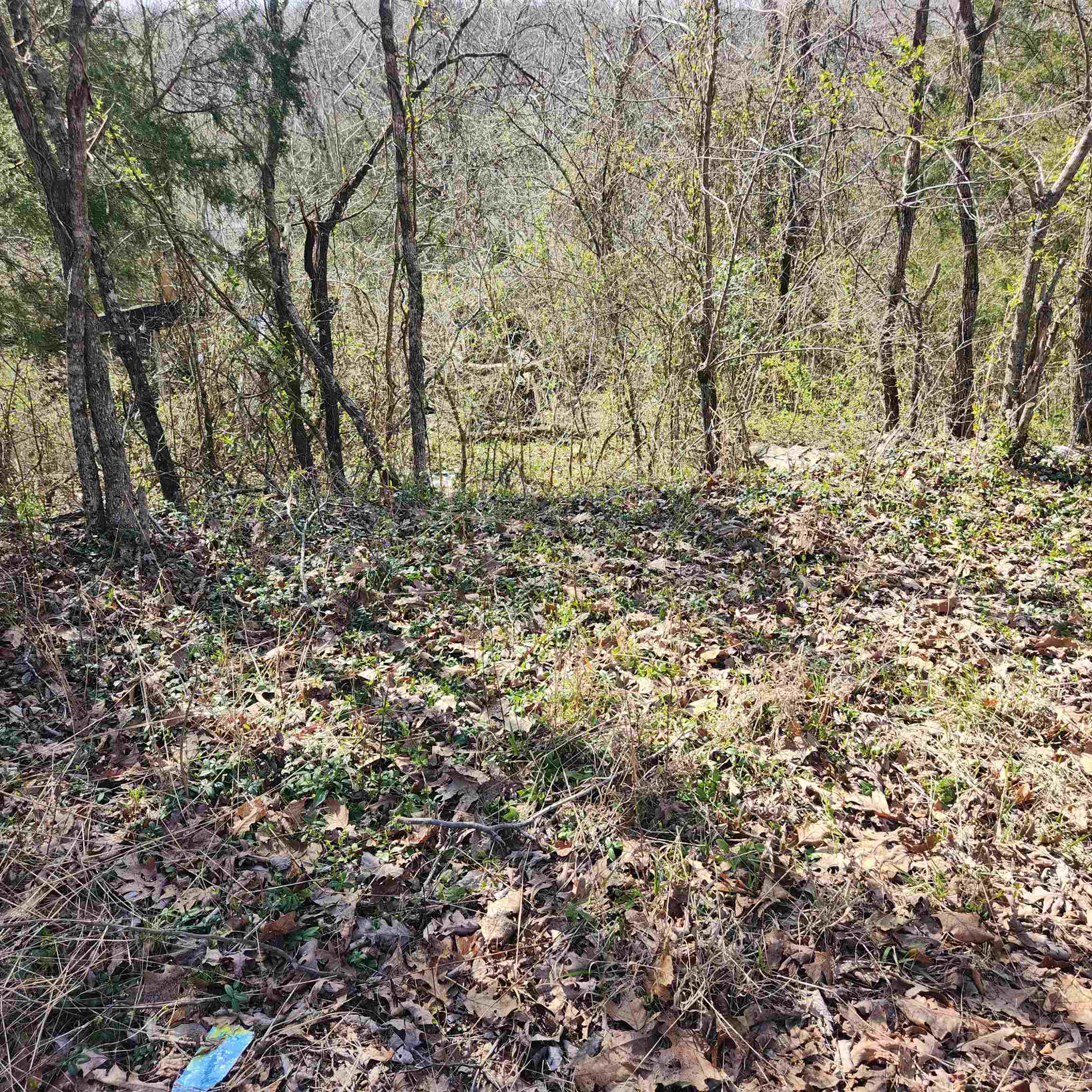 Photo 4 - Vacant Land for sale – L-3, B-24  Algonquin   Cherokee Village, AR