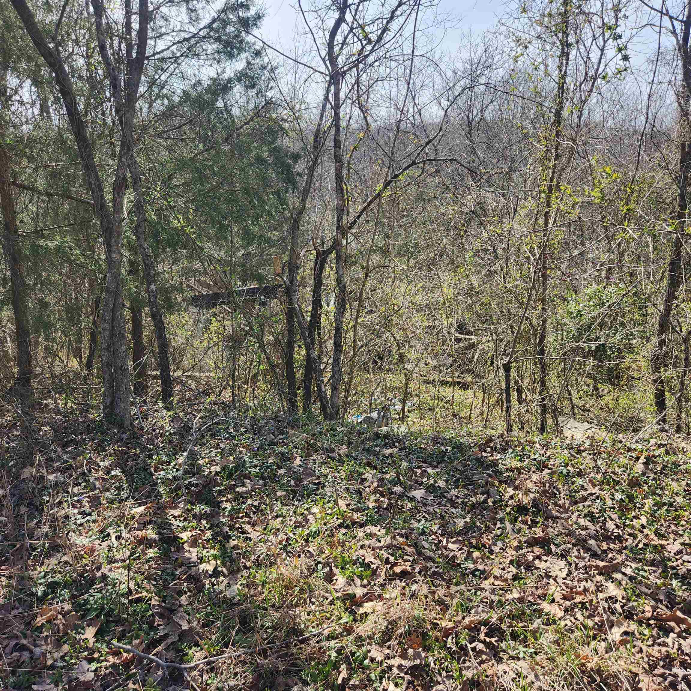 Photo 5 - Vacant Land for sale – L-3, B-24  Algonquin   Cherokee Village, AR