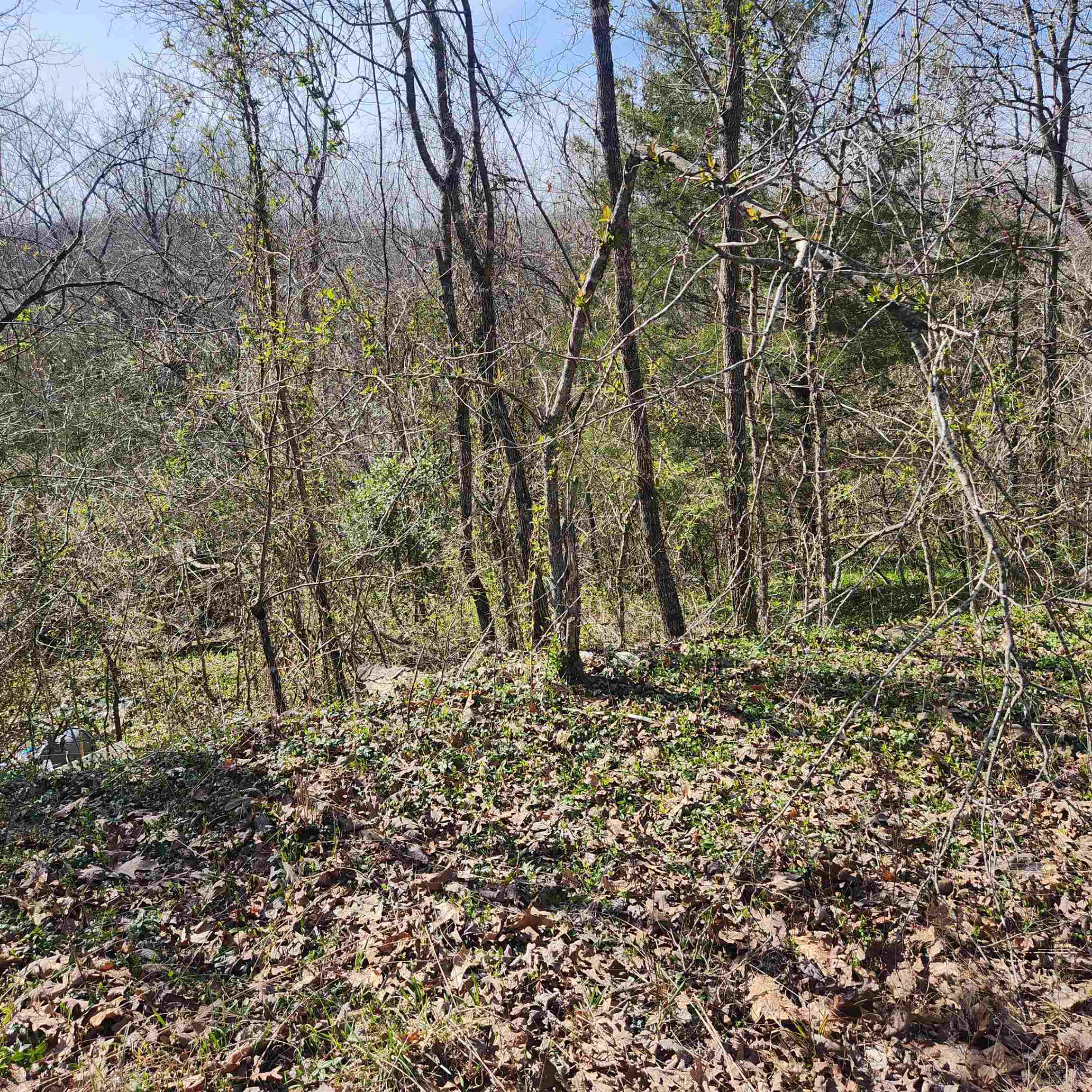 Photo 6 - Vacant Land for sale – L-3, B-24  Algonquin   Cherokee Village, AR