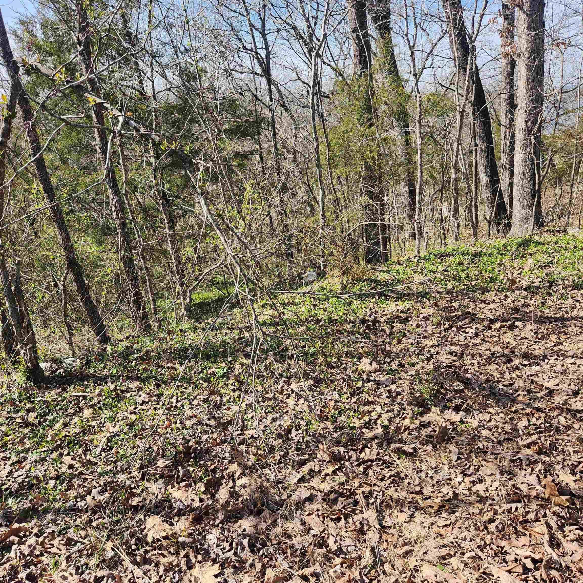 Photo 7 - Vacant Land for sale – L-3, B-24  Algonquin   Cherokee Village, AR