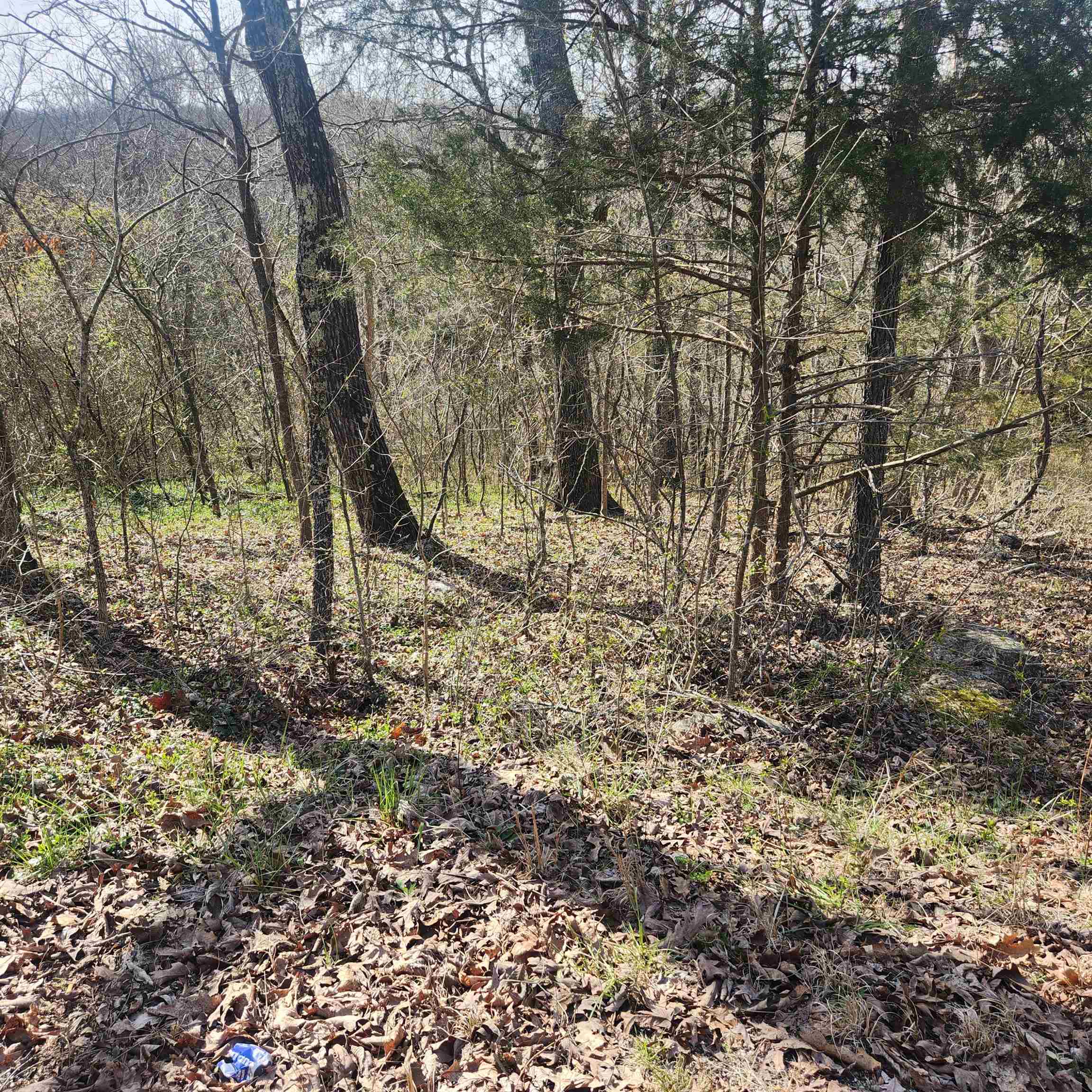 Photo 8 - Vacant Land for sale – L-3, B-24  Algonquin   Cherokee Village, AR