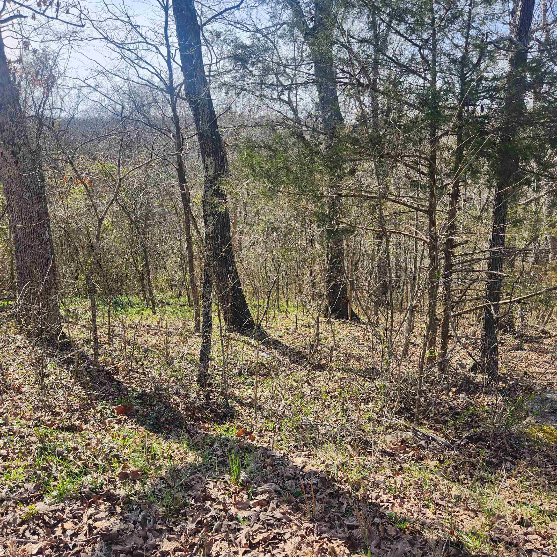 Photo 9 - Vacant Land for sale – L-3, B-24  Algonquin   Cherokee Village, AR