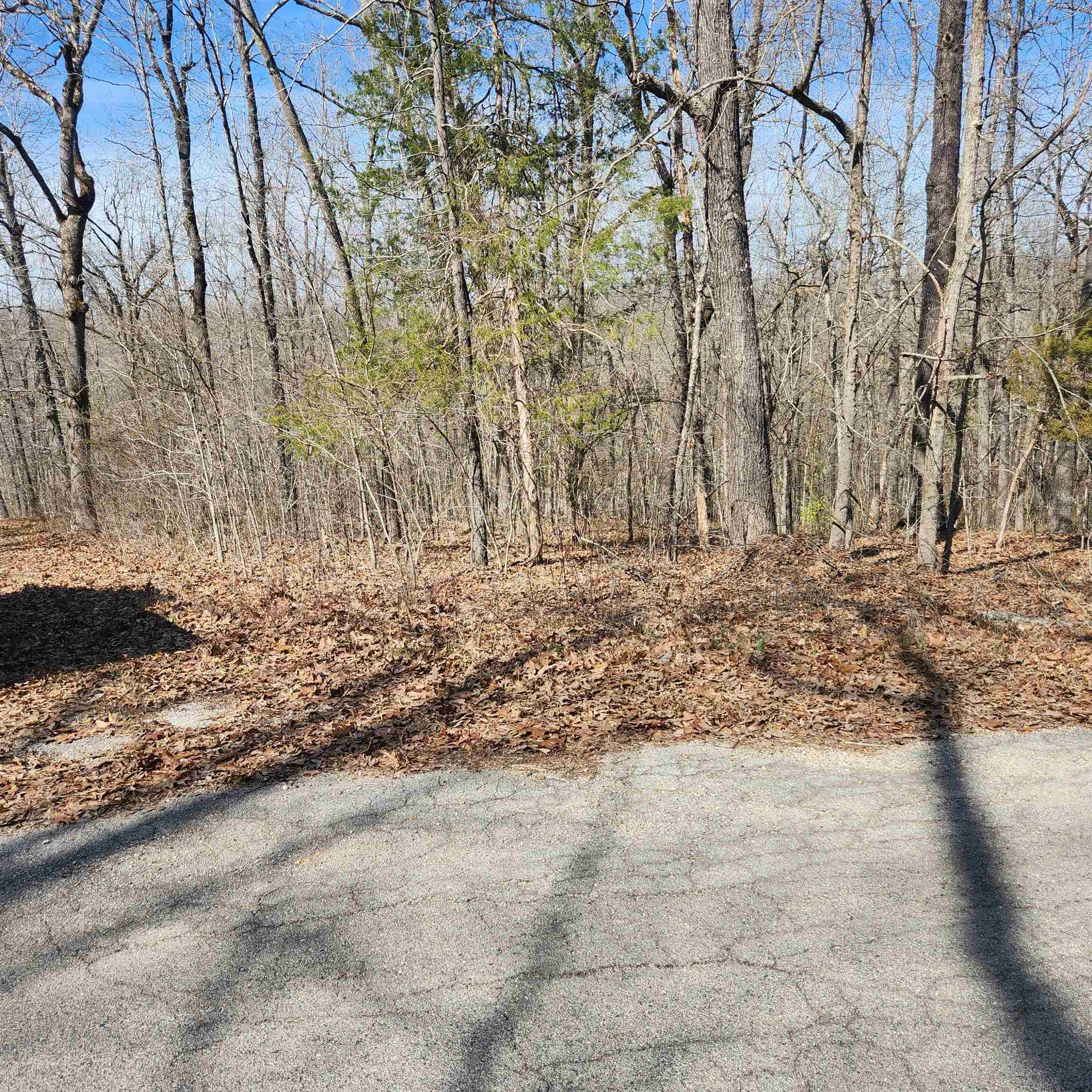 Vacant Land for sale – L-10, B-26  White Dove   Cherokee Village, AR