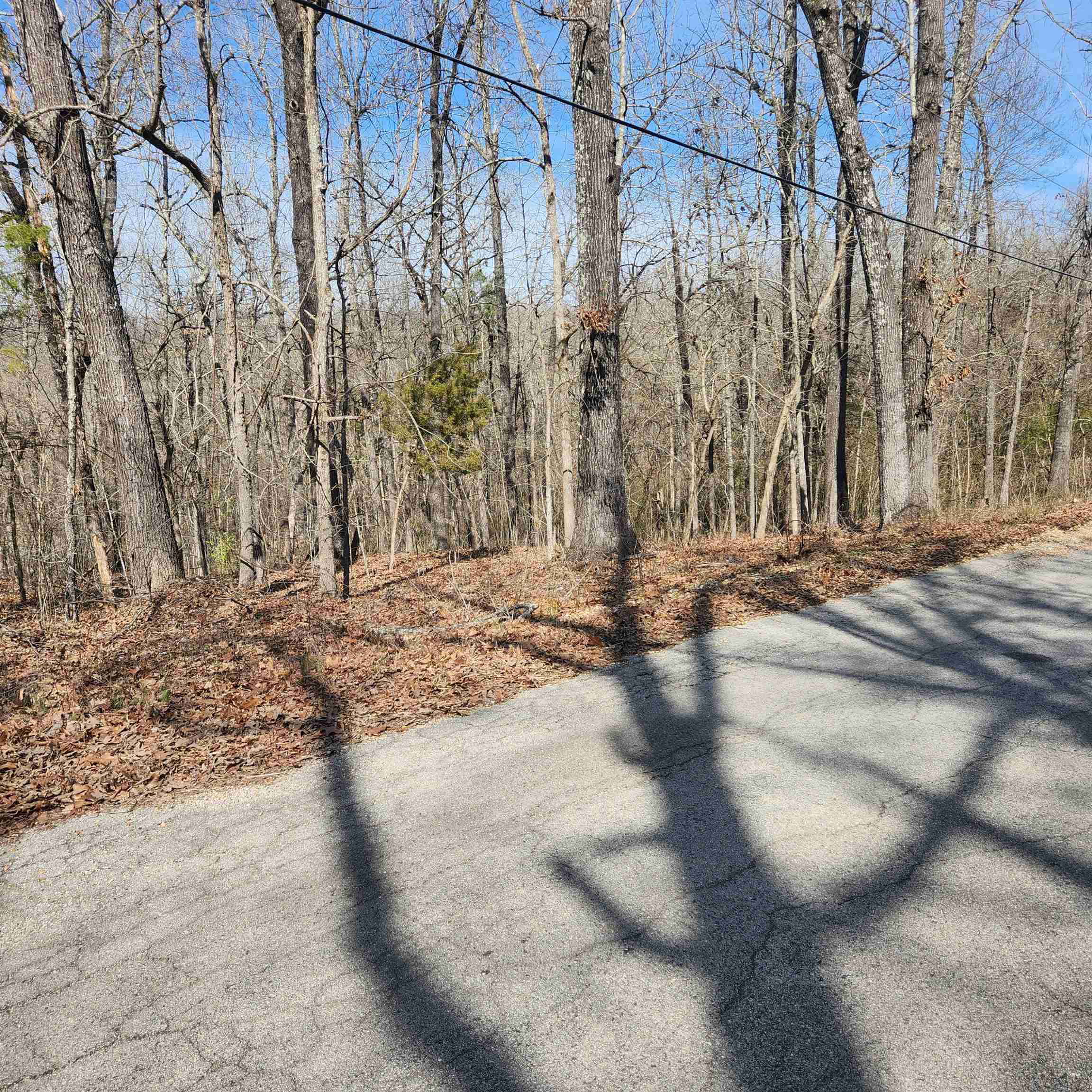 Photo 2 - Vacant Land for sale – L-10, B-26  White Dove   Cherokee Village, AR
