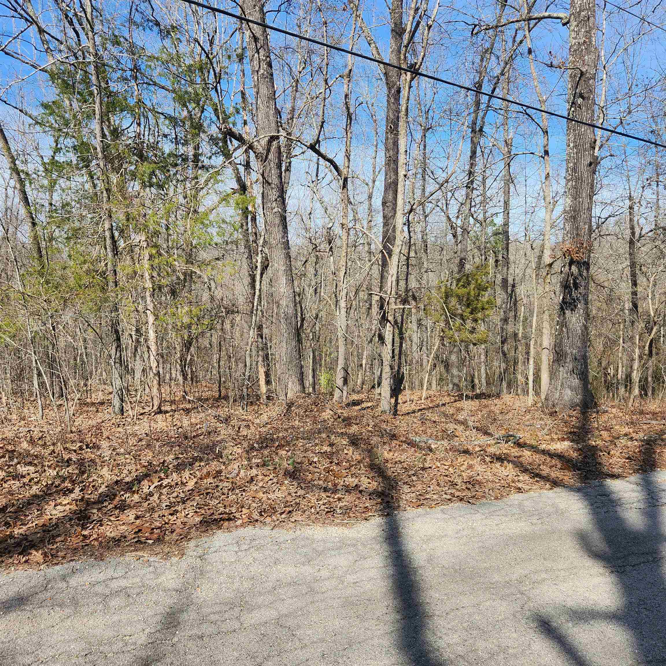 Photo 3 - Vacant Land for sale – L-10, B-26  White Dove   Cherokee Village, AR