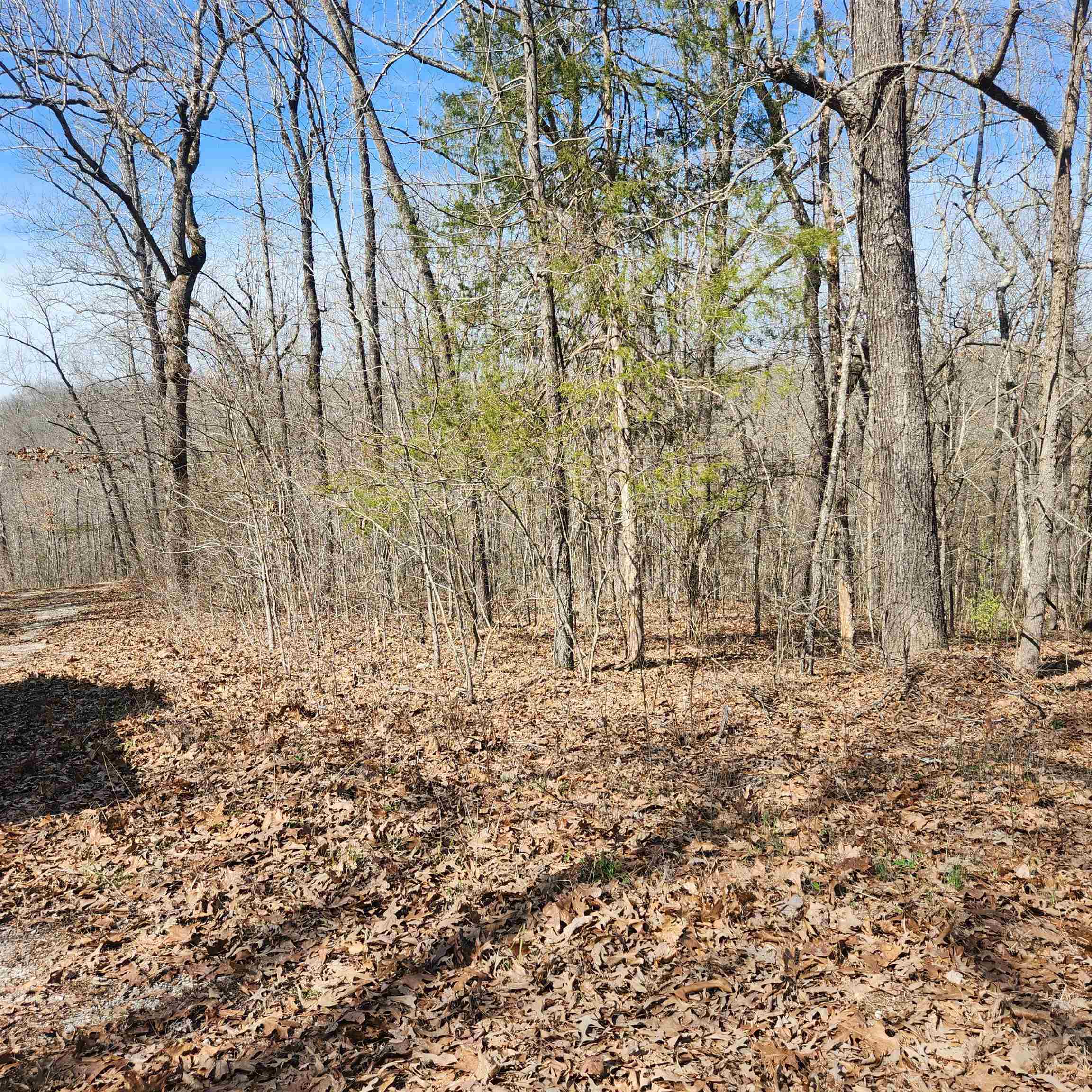 Photo 4 - Vacant Land for sale – L-10, B-26  White Dove   Cherokee Village, AR