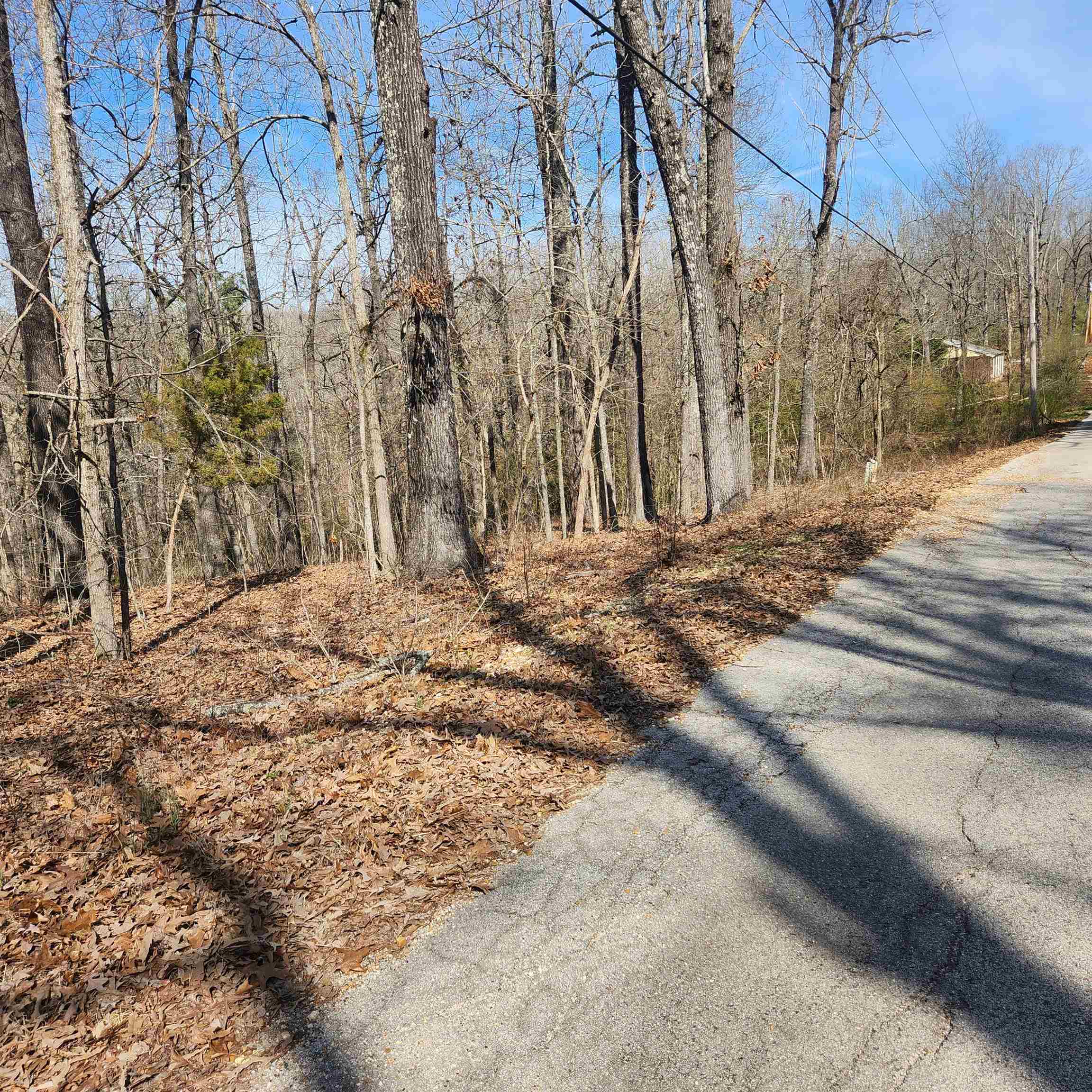 Photo 5 - Vacant Land for sale – L-10, B-26  White Dove   Cherokee Village, AR