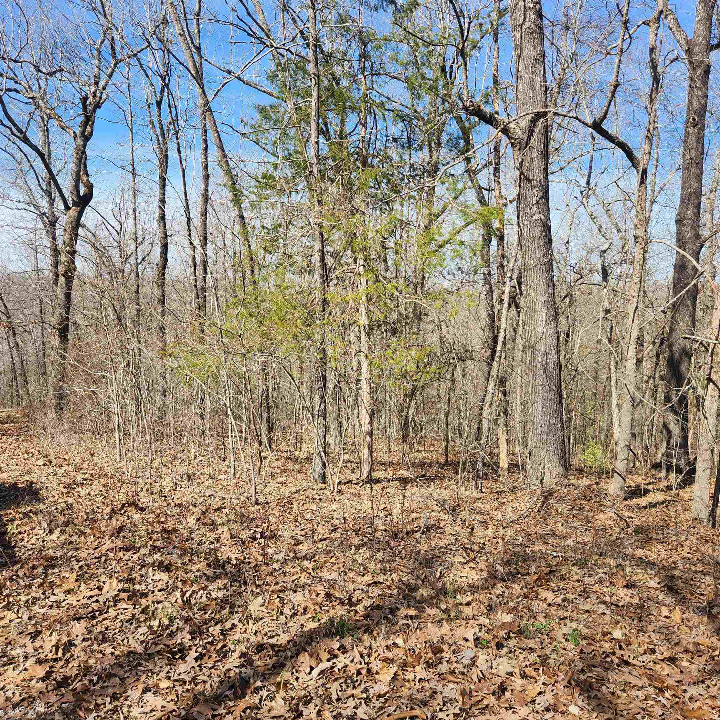 Photo 7 - Vacant Land for sale – L-10, B-26  White Dove   Cherokee Village, AR