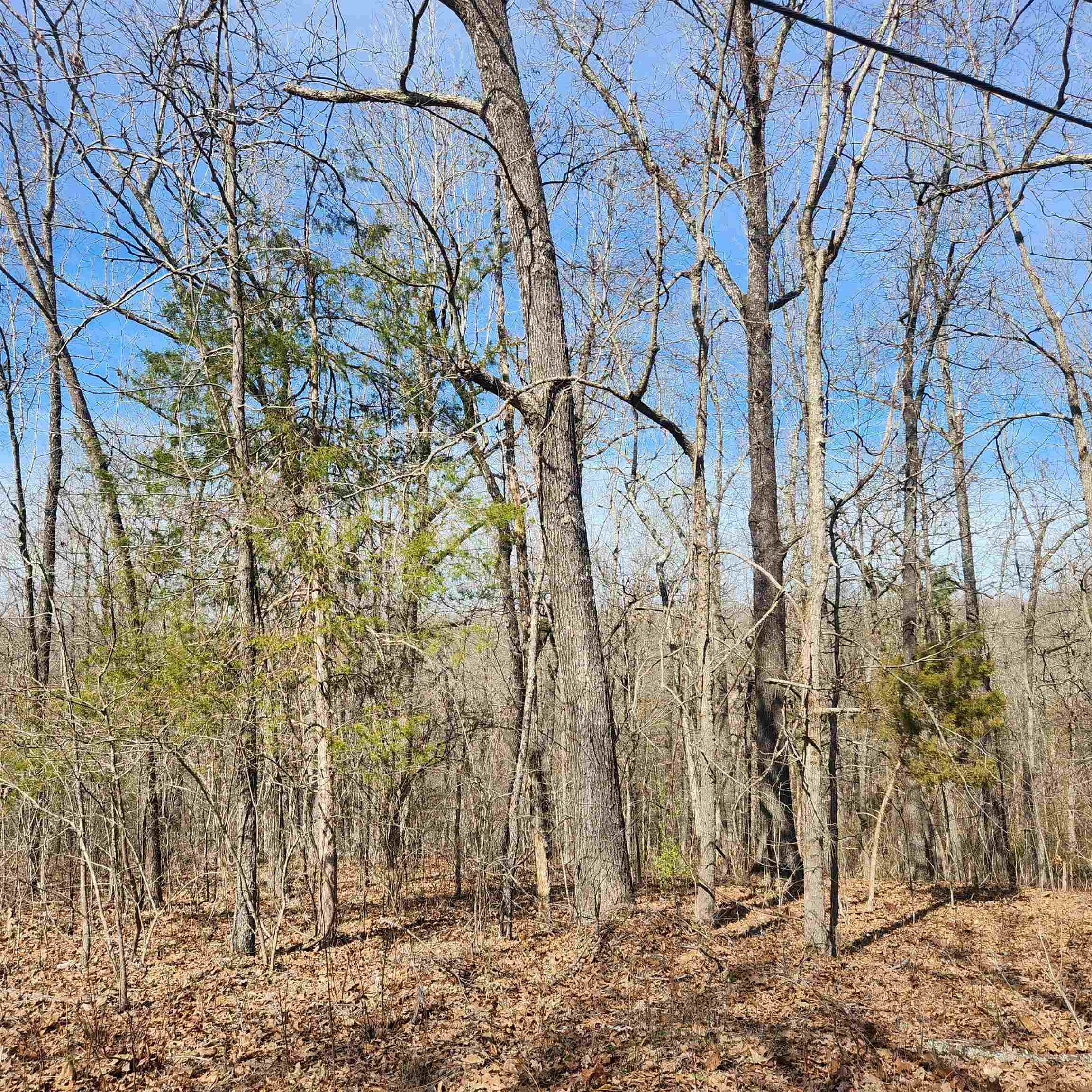 Photo 8 - Vacant Land for sale – L-10, B-26  White Dove   Cherokee Village, AR