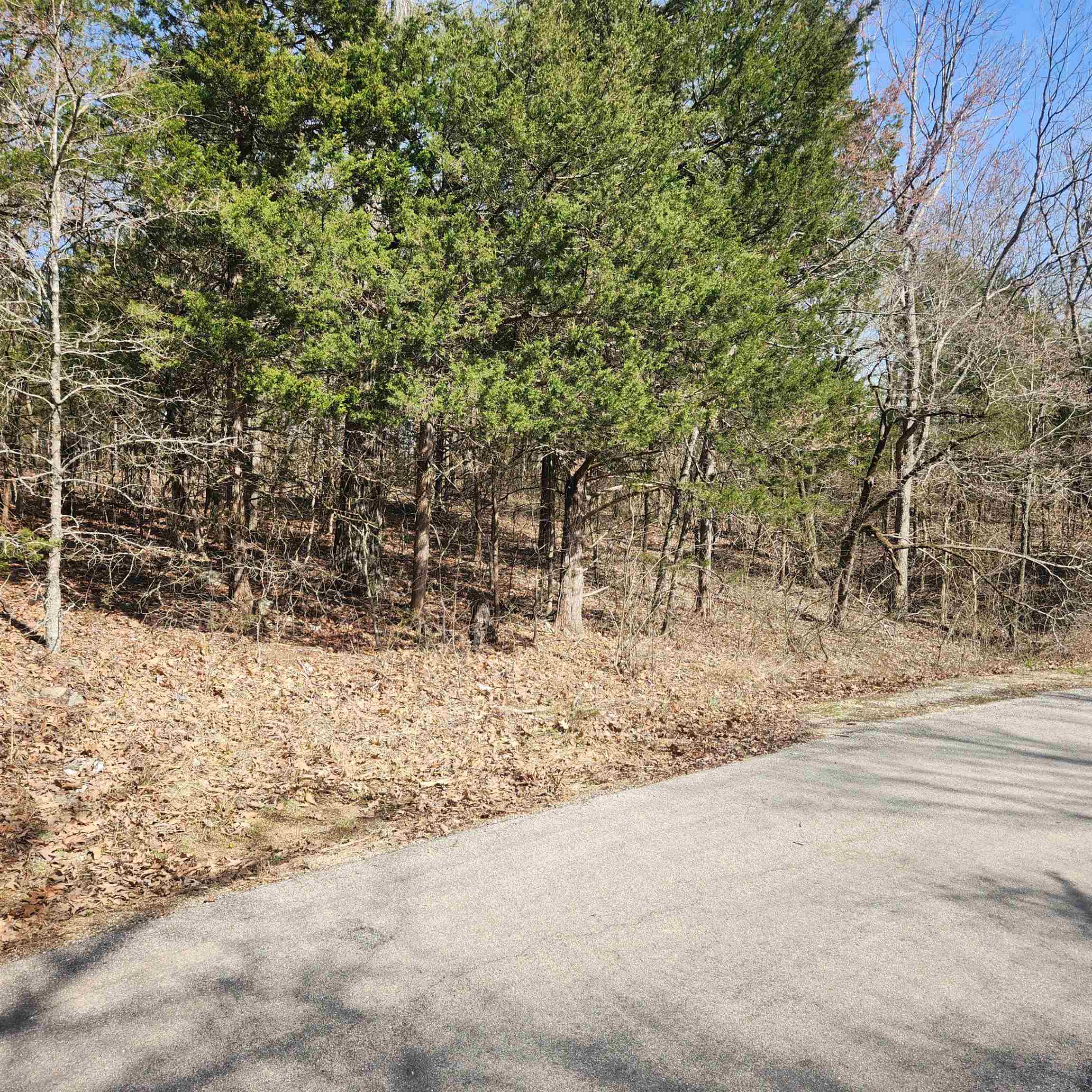Vacant Land for sale – L-10, B-17  Hiawatha   Cherokee Village, AR