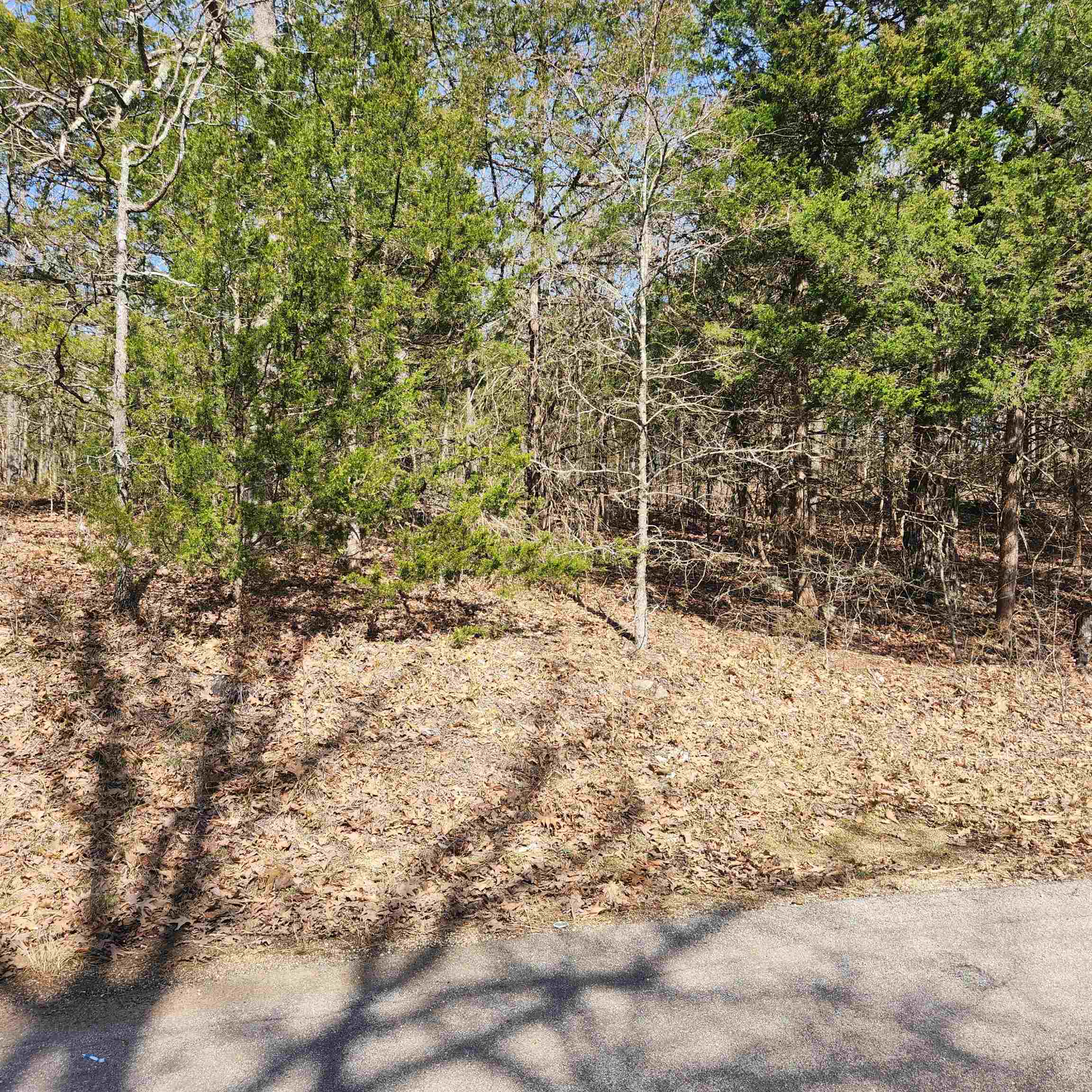 Photo 2 - Vacant Land for sale – L-10, B-17  Hiawatha   Cherokee Village, AR