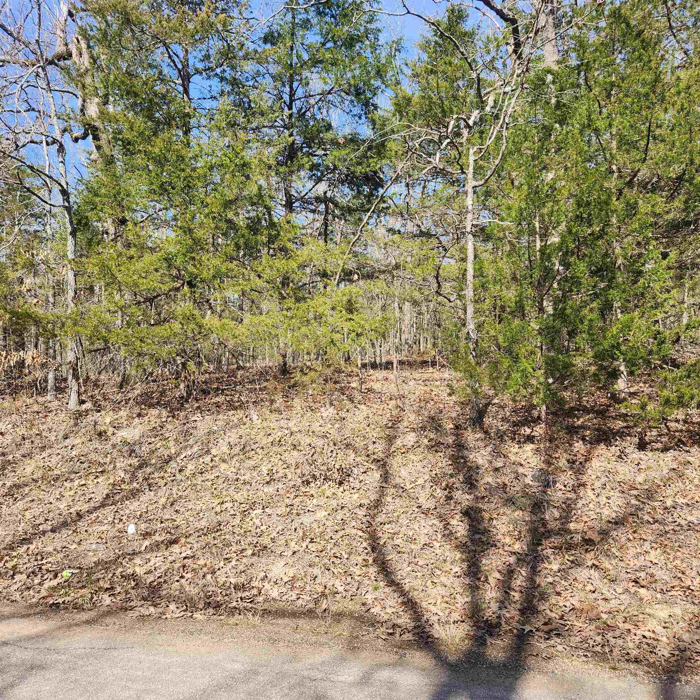 Photo 3 - Vacant Land for sale – L-10, B-17  Hiawatha   Cherokee Village, AR