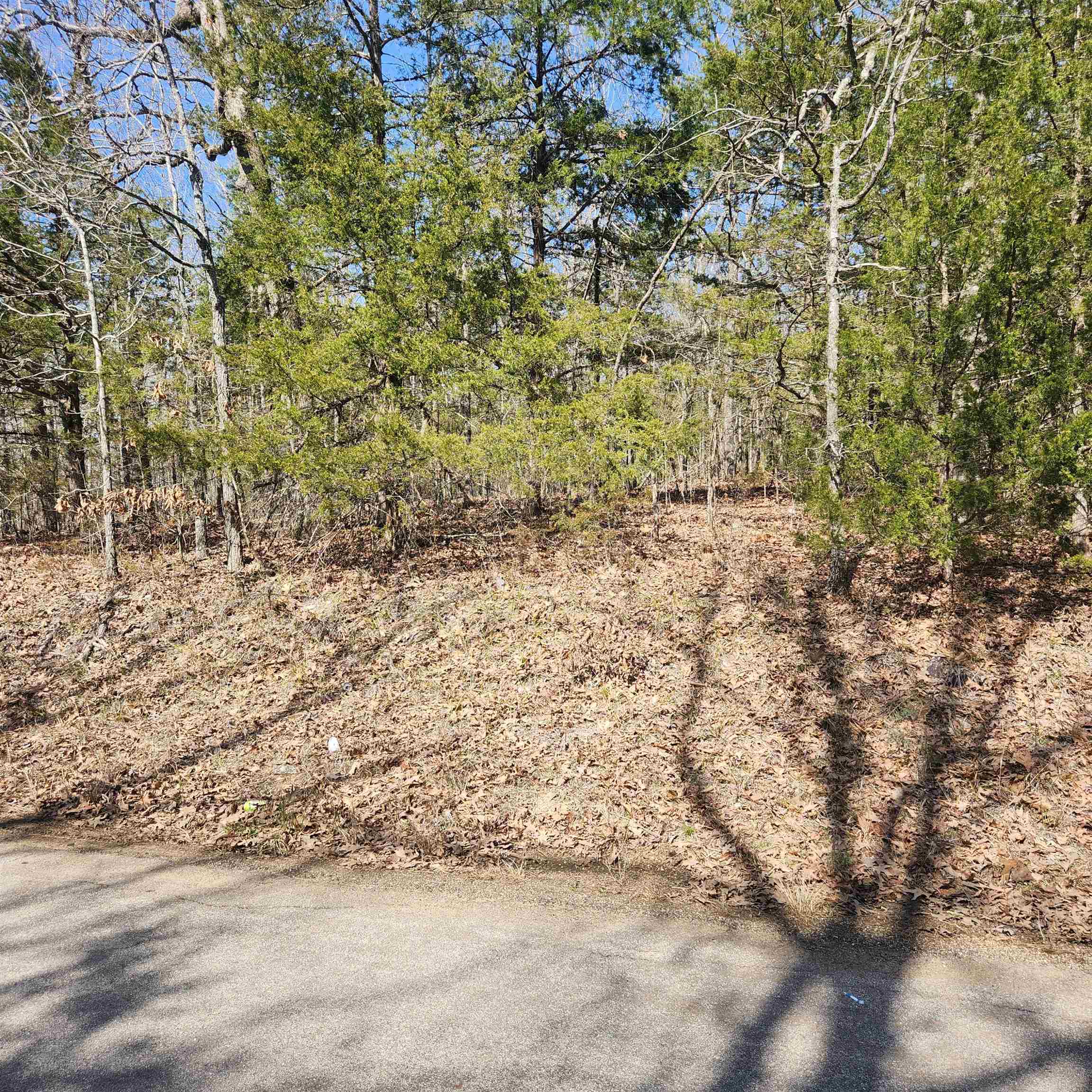 Photo 4 - Vacant Land for sale – L-10, B-17  Hiawatha   Cherokee Village, AR