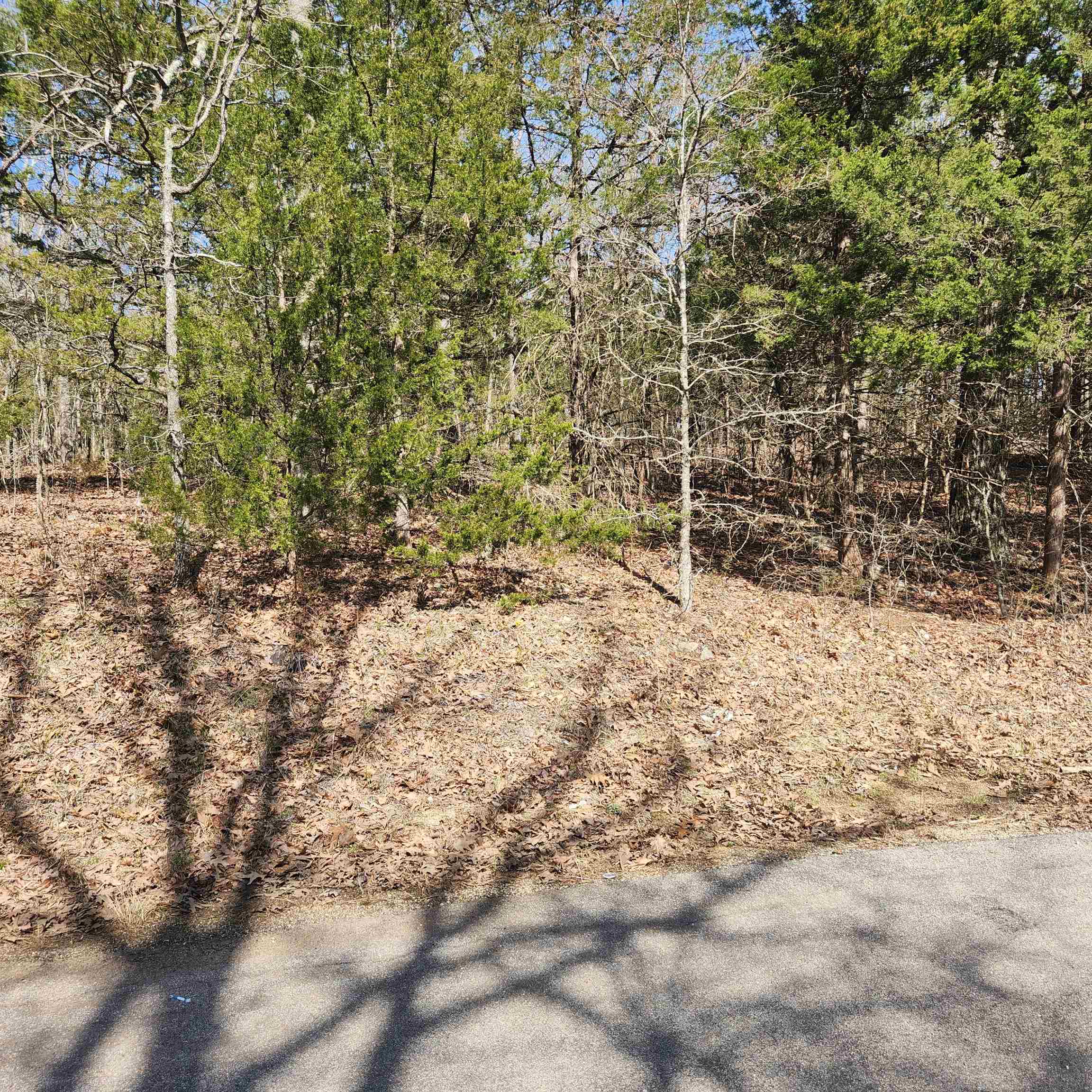 Photo 5 - Vacant Land for sale – L-10, B-17  Hiawatha   Cherokee Village, AR