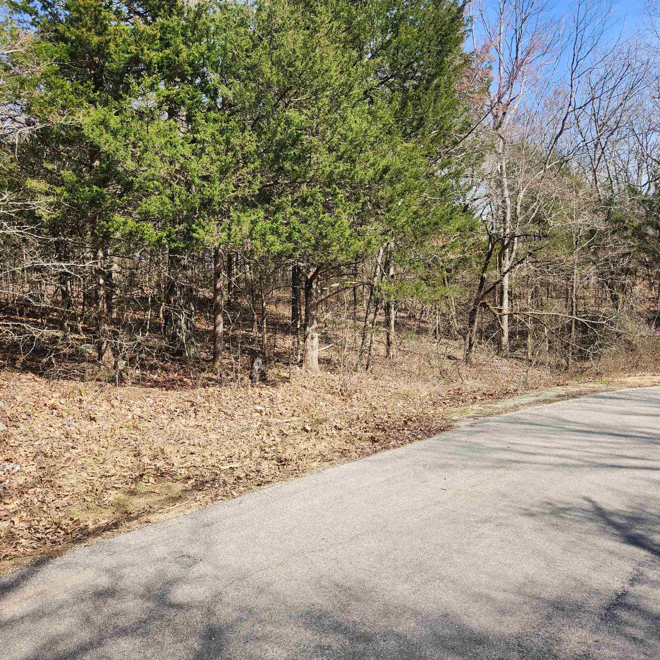 Photo 6 - Vacant Land for sale – L-10, B-17  Hiawatha   Cherokee Village, AR
