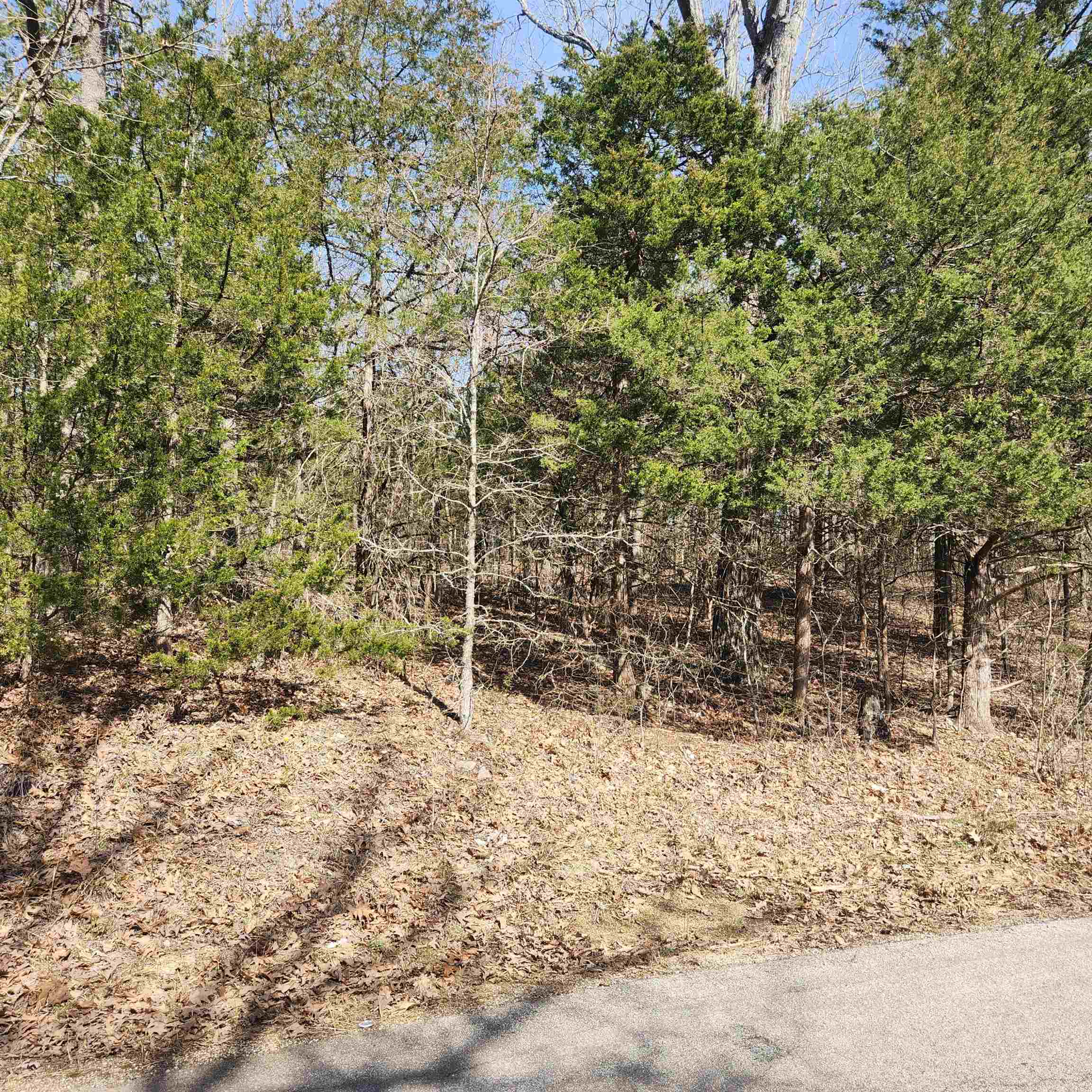 Photo 7 - Vacant Land for sale – L-10, B-17  Hiawatha   Cherokee Village, AR