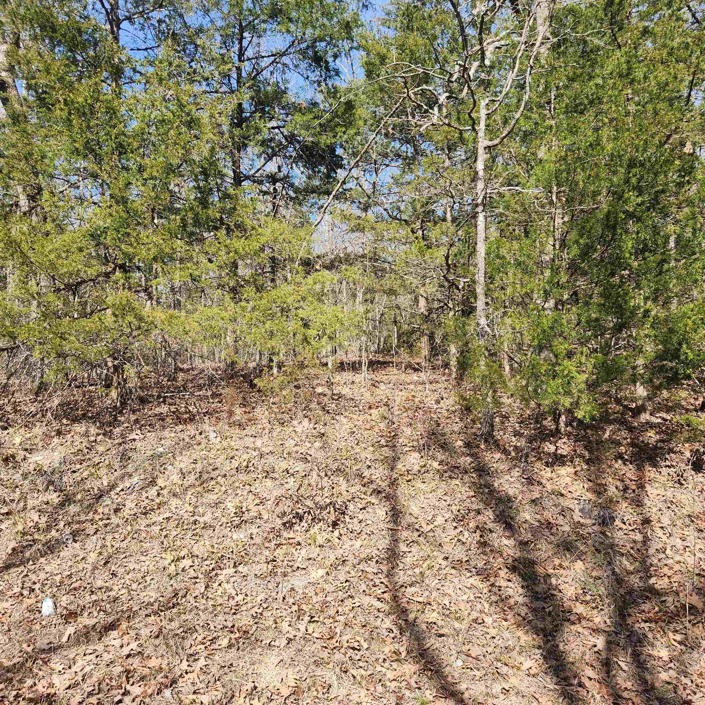 Photo 8 - Vacant Land for sale – L-10, B-17  Hiawatha   Cherokee Village, AR