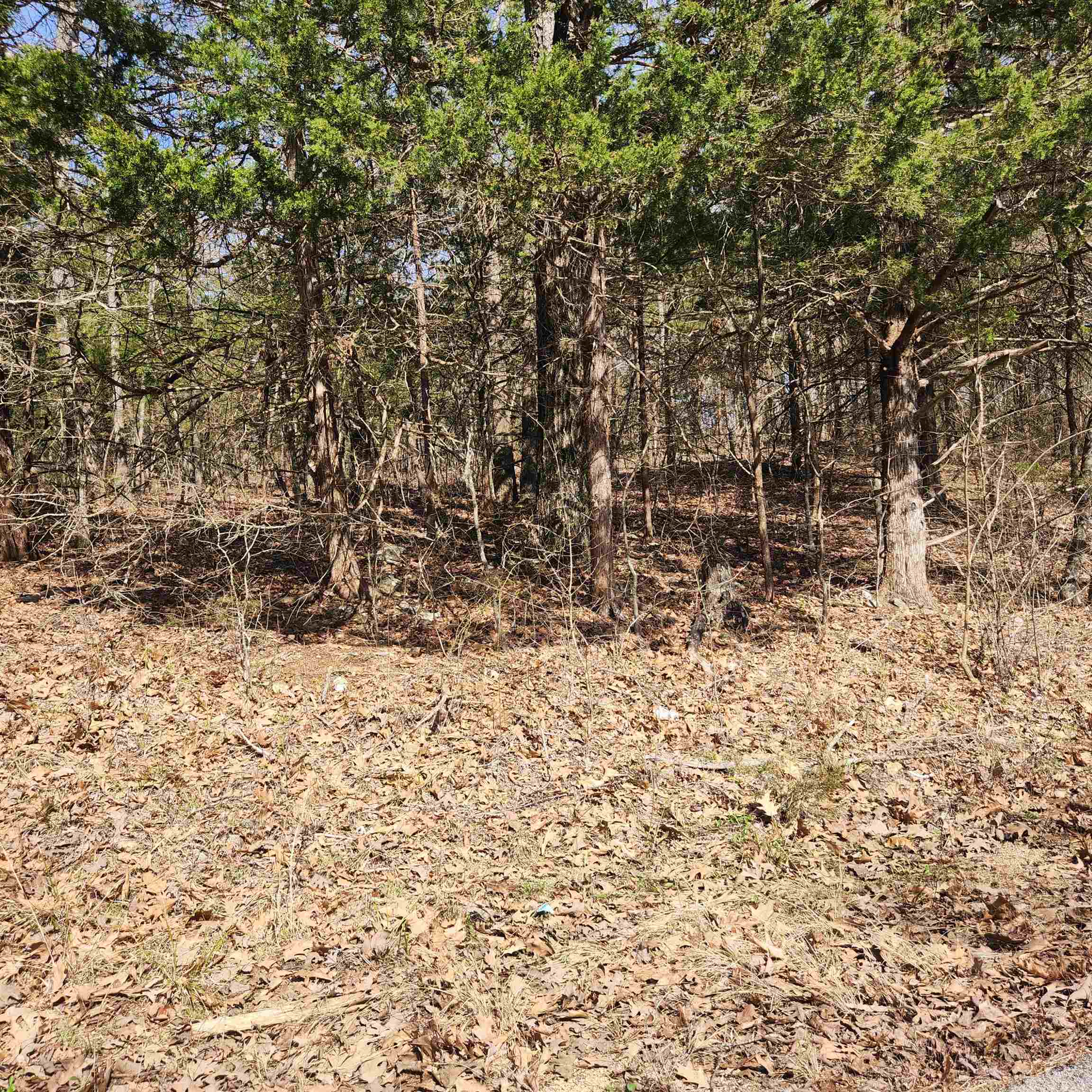 Photo 9 - Vacant Land for sale – L-10, B-17  Hiawatha   Cherokee Village, AR