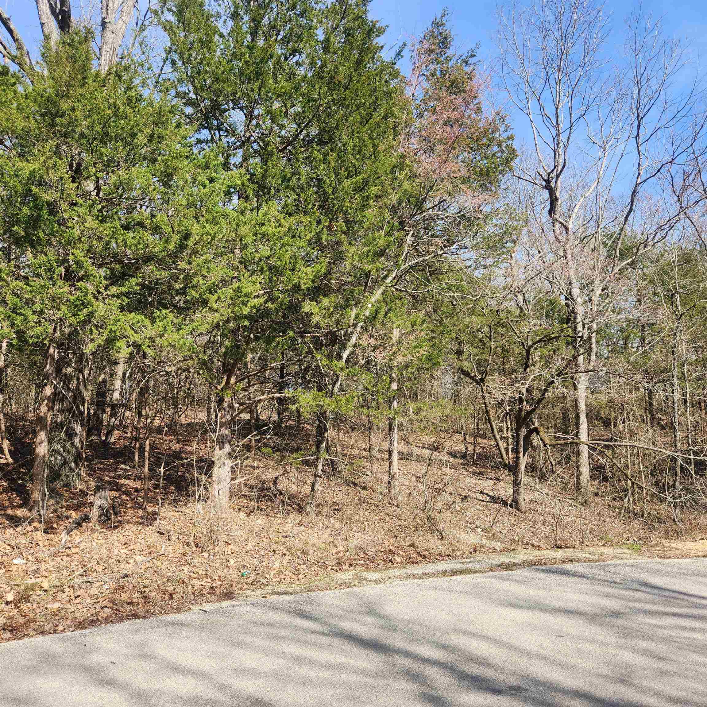 Photo 10 - Vacant Land for sale – L-10, B-17  Hiawatha   Cherokee Village, AR