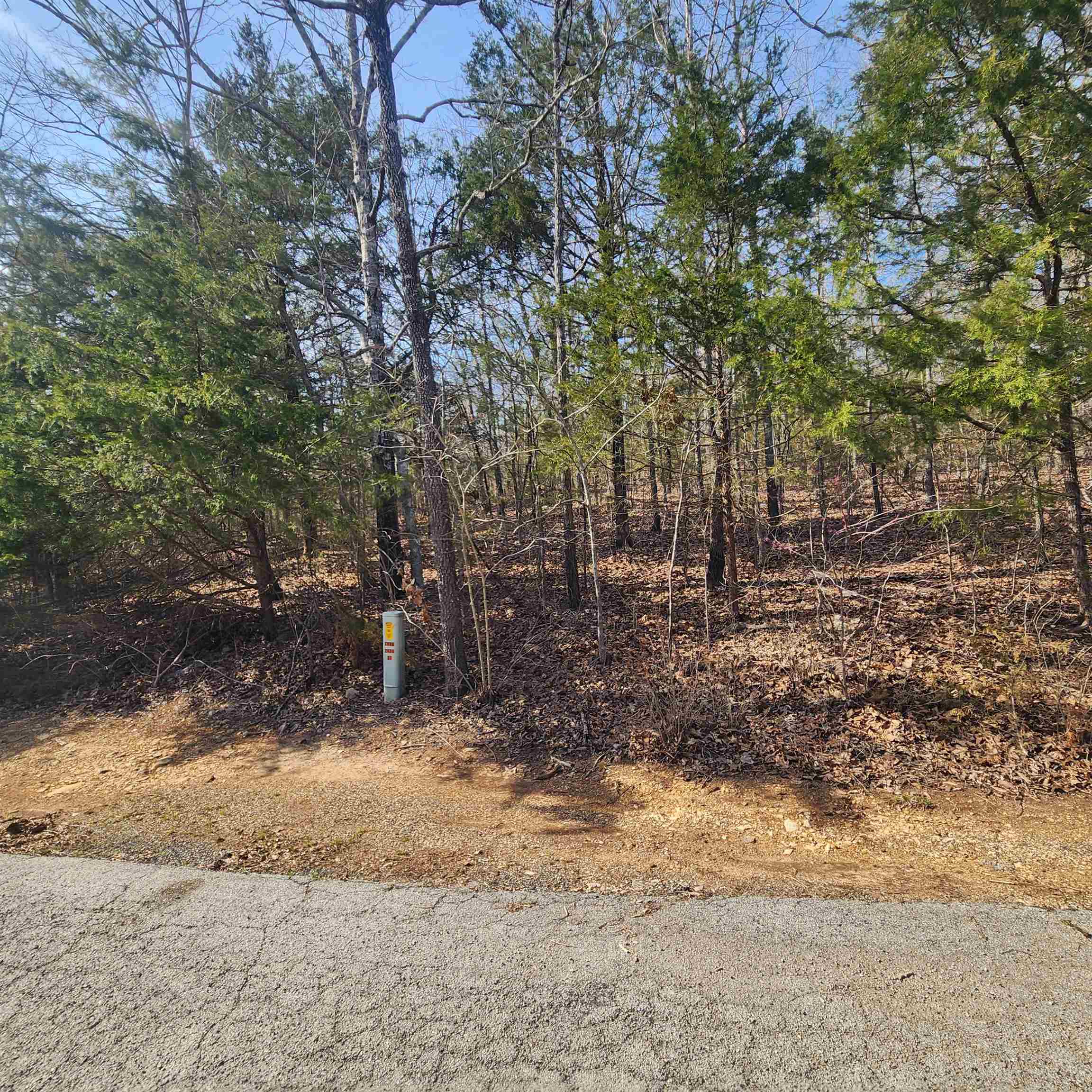 Photo 2 - Vacant Land for sale – L-63, B-19 E Lakeshore   Cherokee Village, AR