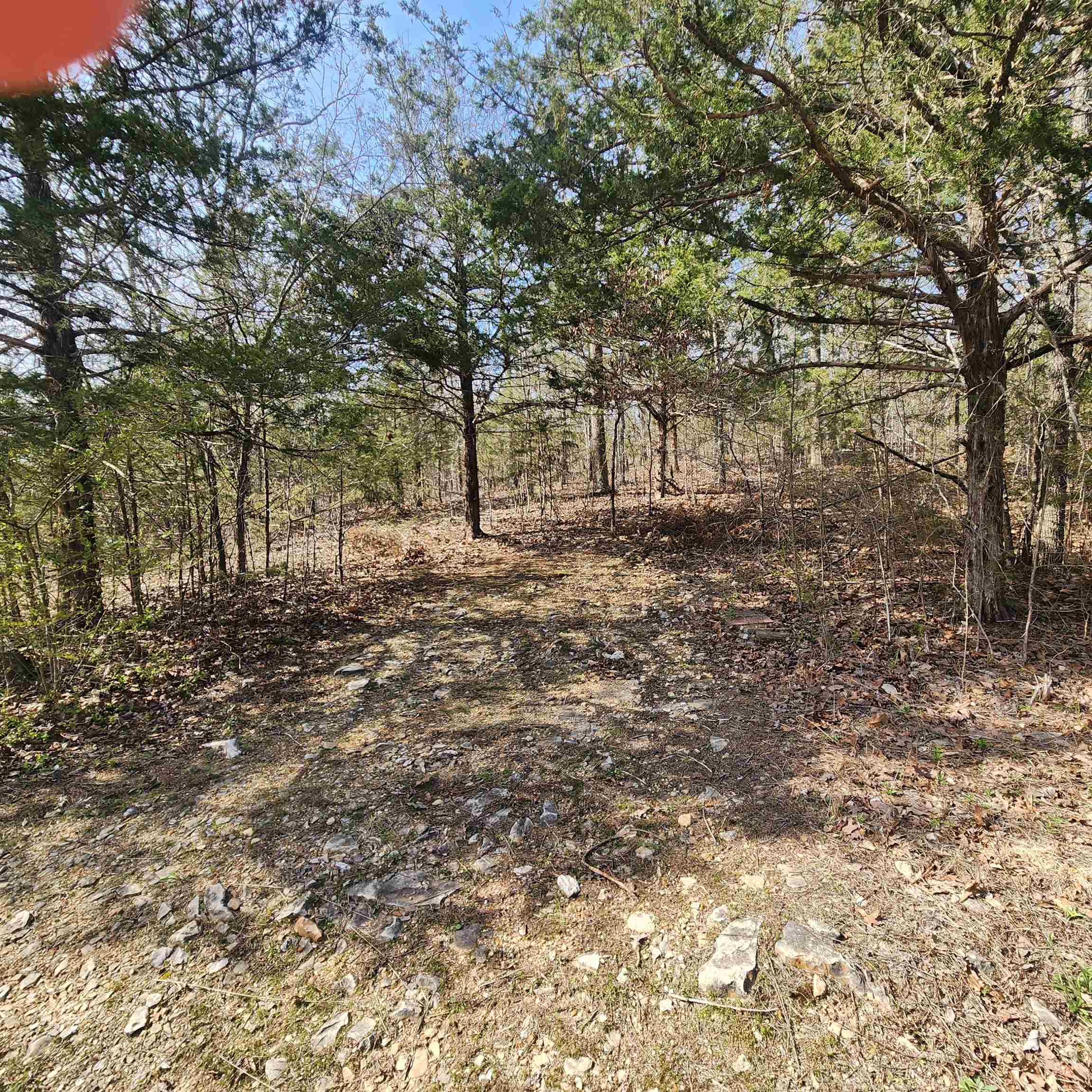 Photo 3 - Vacant Land for sale – L-63, B-19 E Lakeshore   Cherokee Village, AR