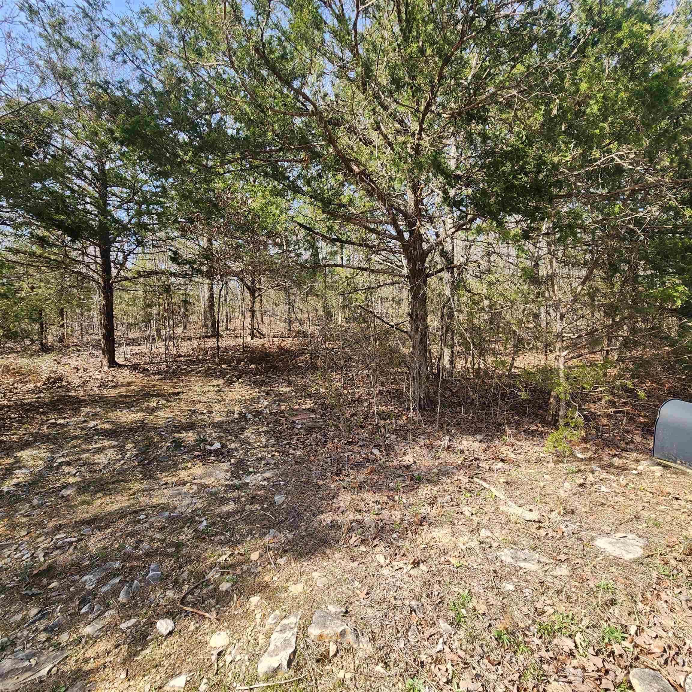Photo 4 - Vacant Land for sale – L-63, B-19 E Lakeshore   Cherokee Village, AR