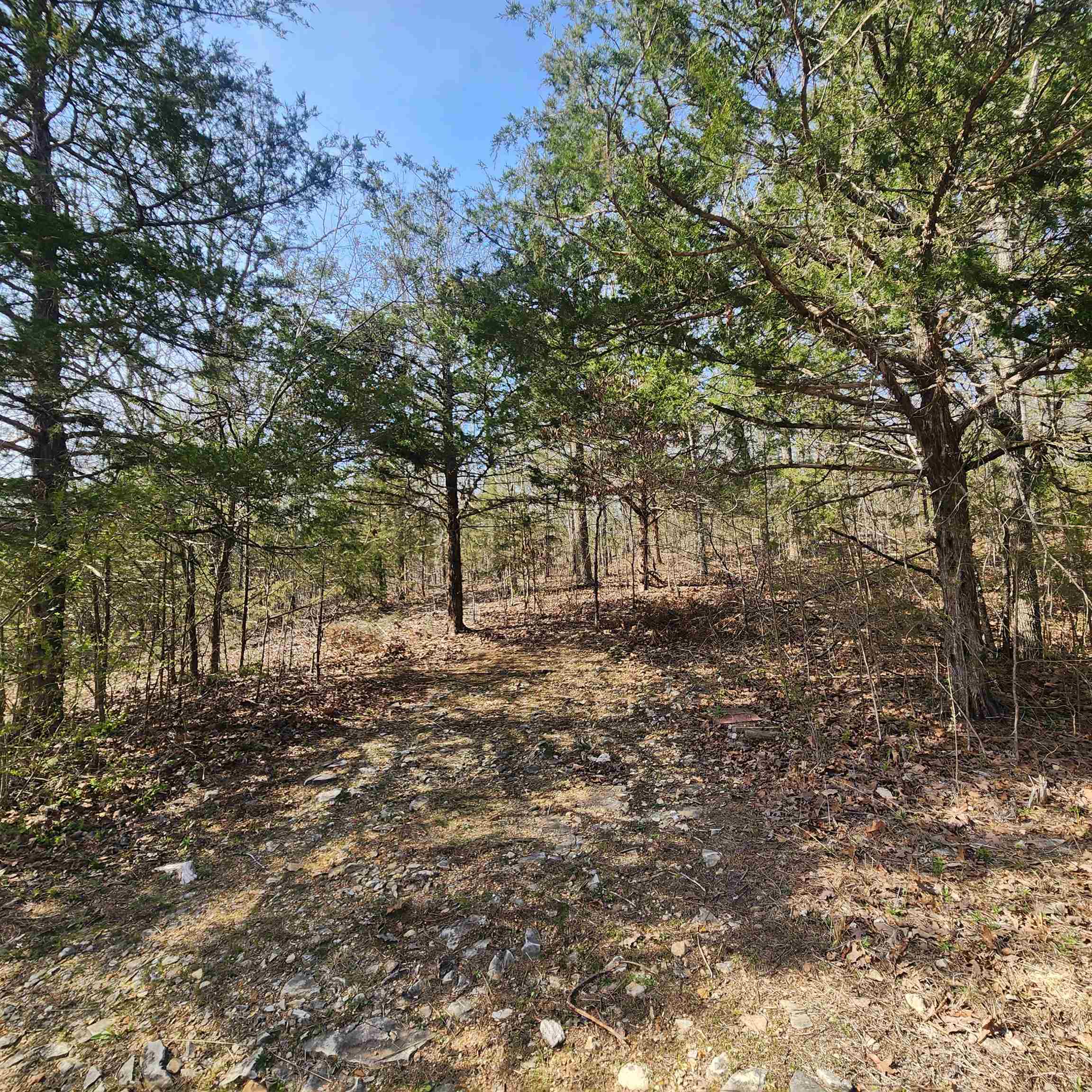 Photo 5 - Vacant Land for sale – L-63, B-19 E Lakeshore   Cherokee Village, AR