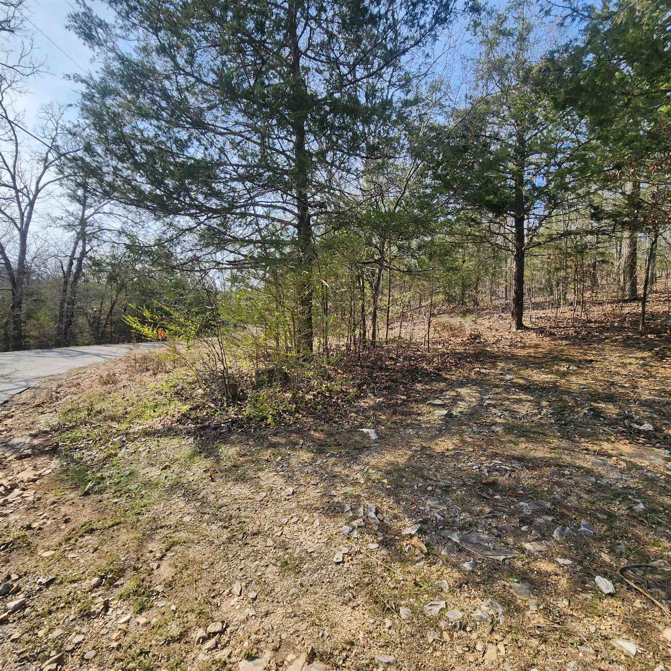 Photo 6 - Vacant Land for sale – L-63, B-19 E Lakeshore   Cherokee Village, AR