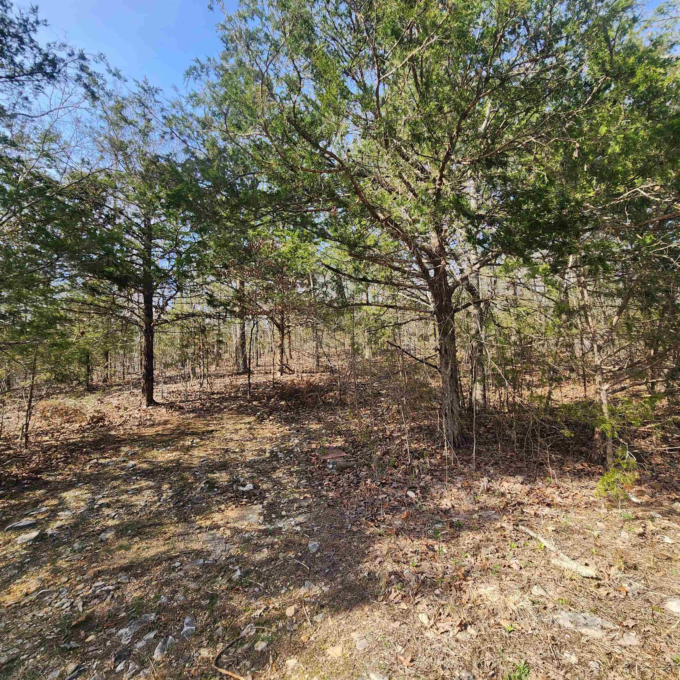 Photo 7 - Vacant Land for sale – L-63, B-19 E Lakeshore   Cherokee Village, AR