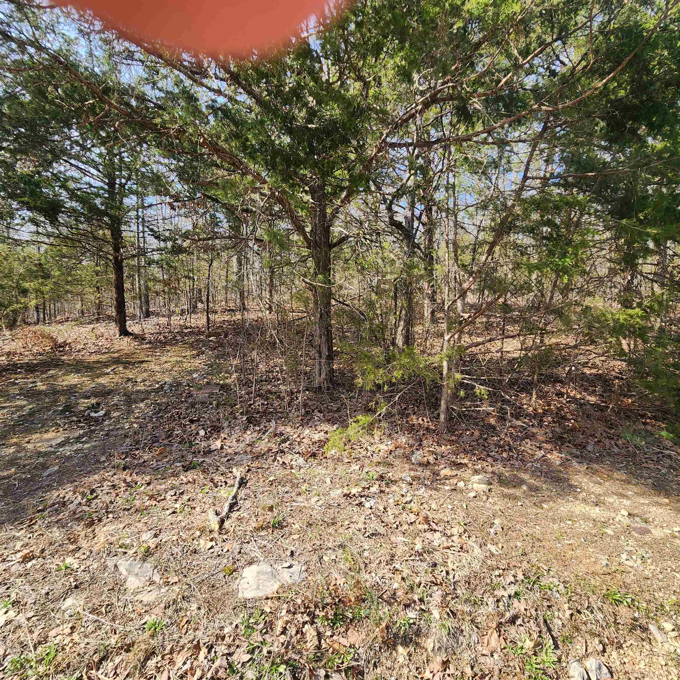 Photo 8 - Vacant Land for sale – L-63, B-19 E Lakeshore   Cherokee Village, AR