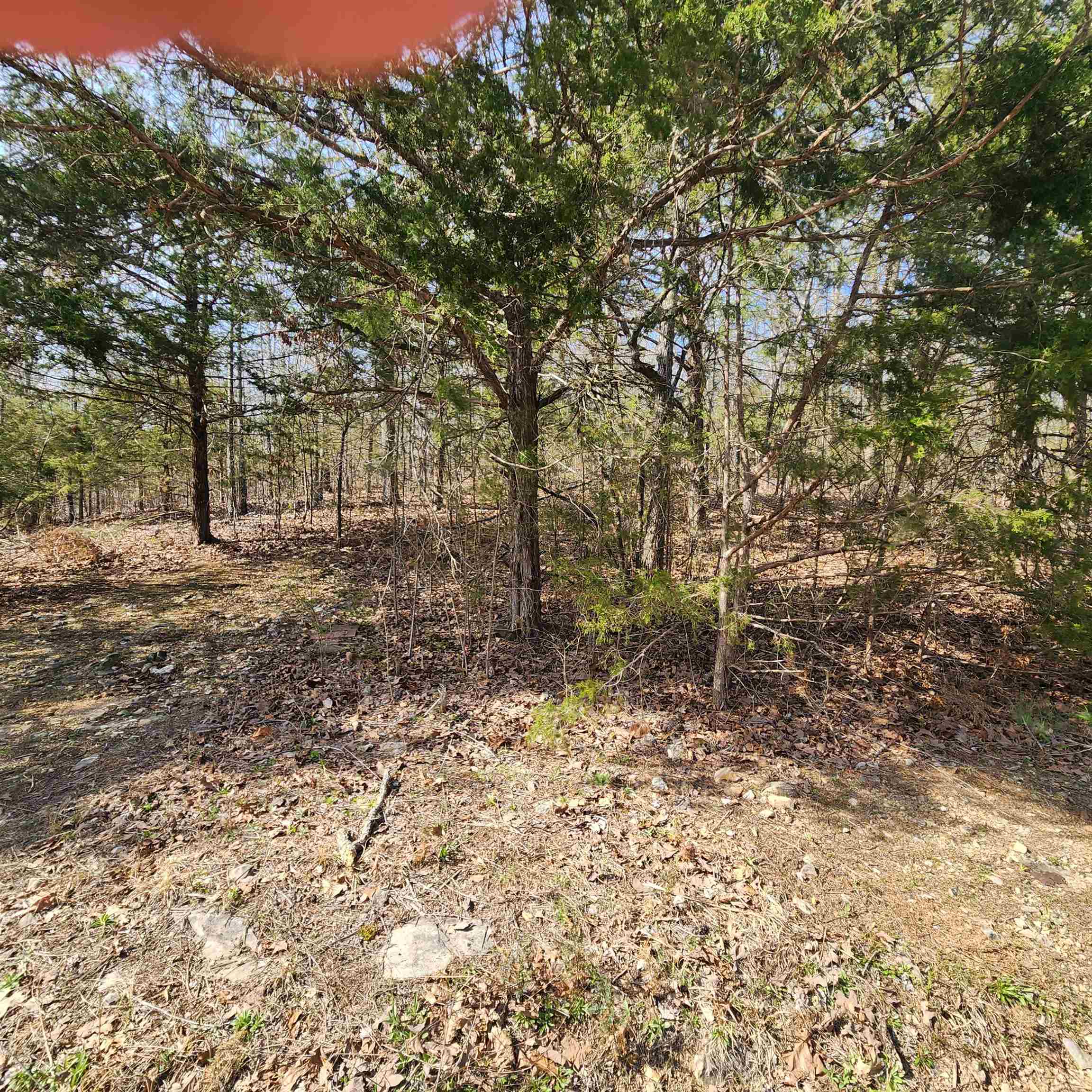 Photo 9 - Vacant Land for sale – L-63, B-19 E Lakeshore   Cherokee Village, AR