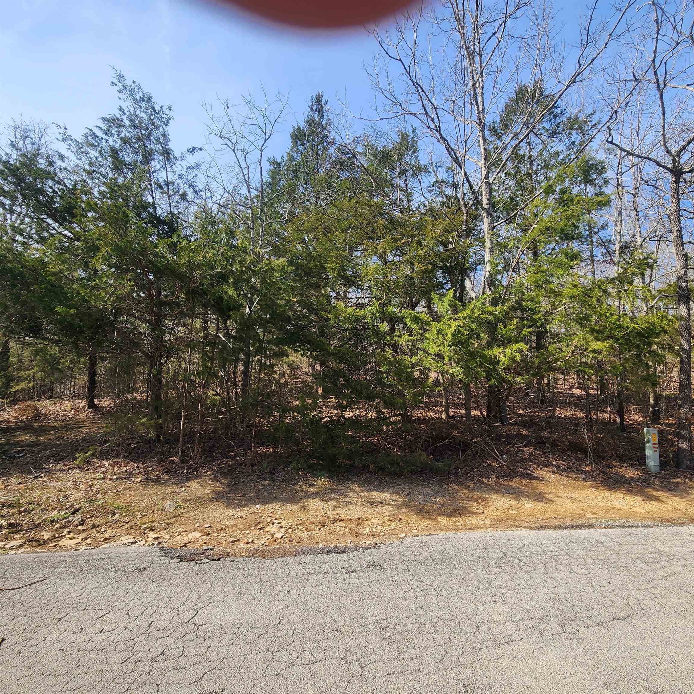 Photo 10 - Vacant Land for sale – L-63, B-19 E Lakeshore   Cherokee Village, AR