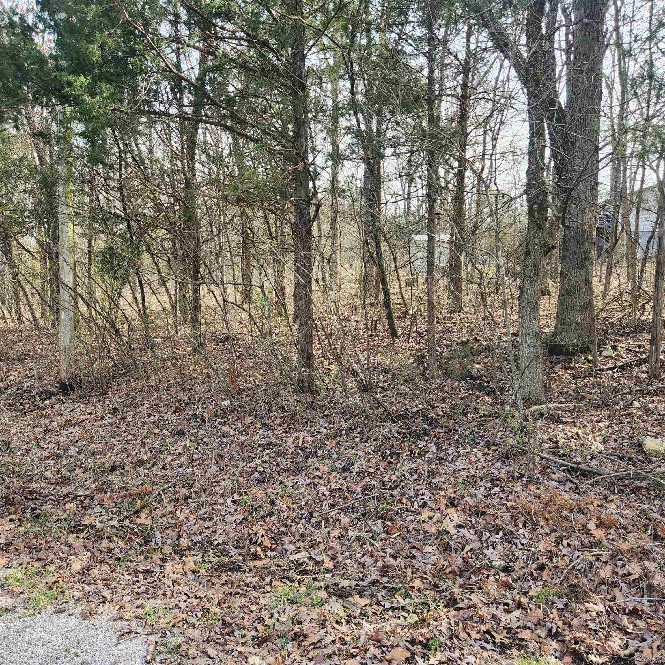 Vacant Land for sale – L-9, B-25  Yancopin   Cherokee Village, AR