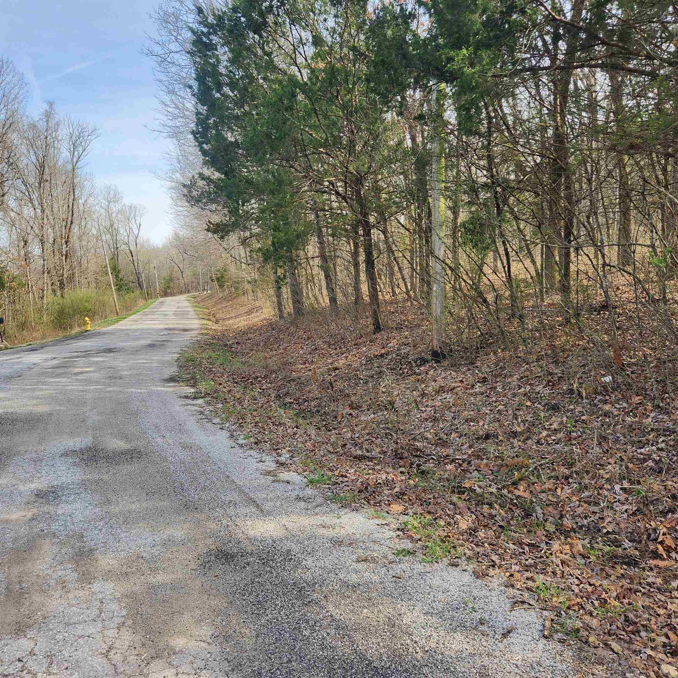 Photo 2 - Vacant Land for sale – L-9, B-25  Yancopin   Cherokee Village, AR