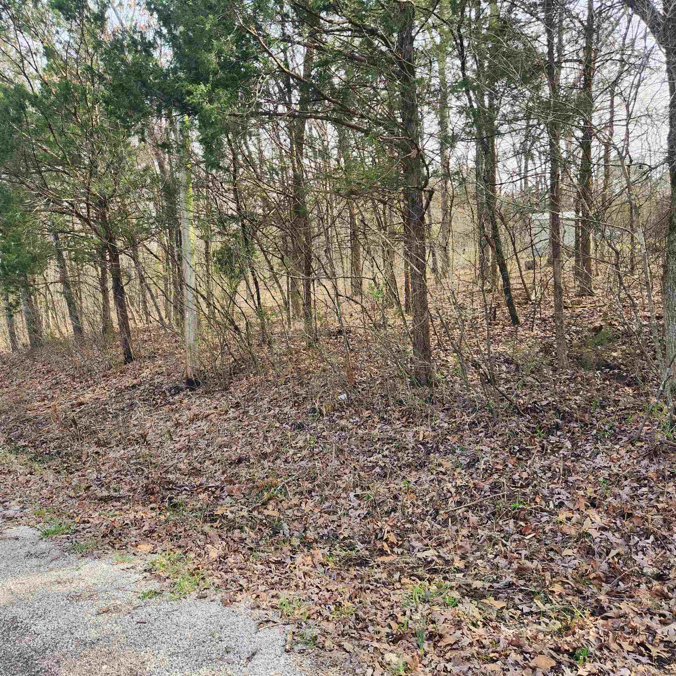 Photo 3 - Vacant Land for sale – L-9, B-25  Yancopin   Cherokee Village, AR