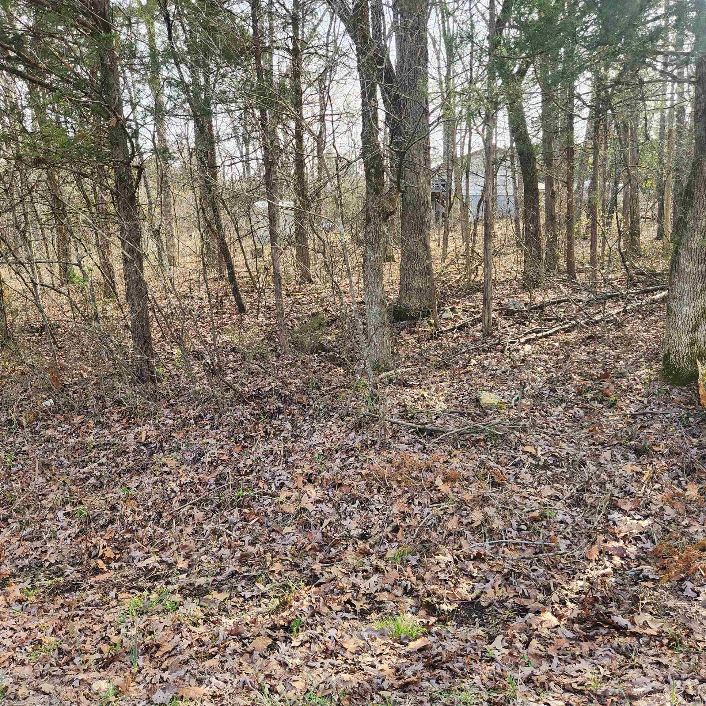 Photo 4 - Vacant Land for sale – L-9, B-25  Yancopin   Cherokee Village, AR