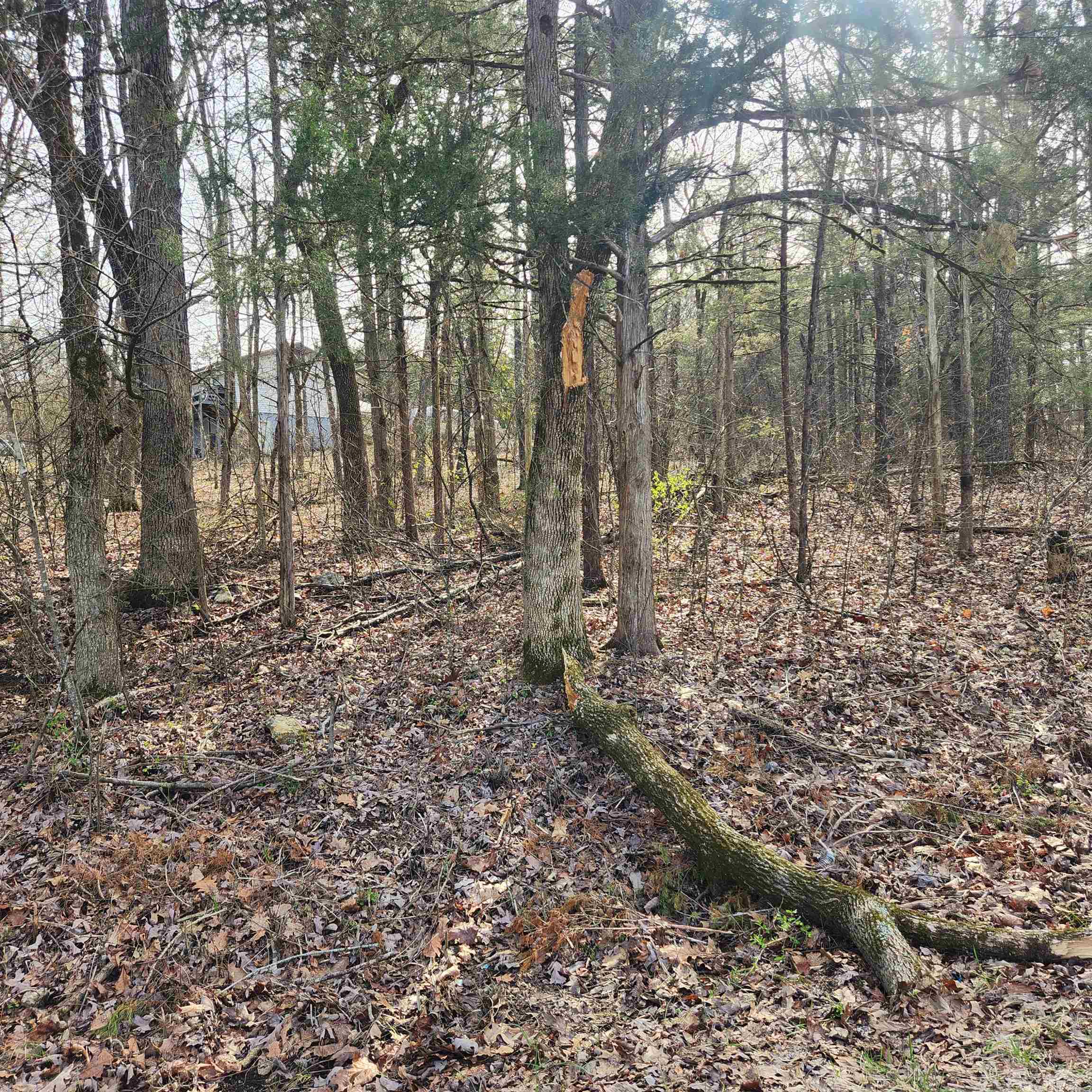 Photo 5 - Vacant Land for sale – L-9, B-25  Yancopin   Cherokee Village, AR