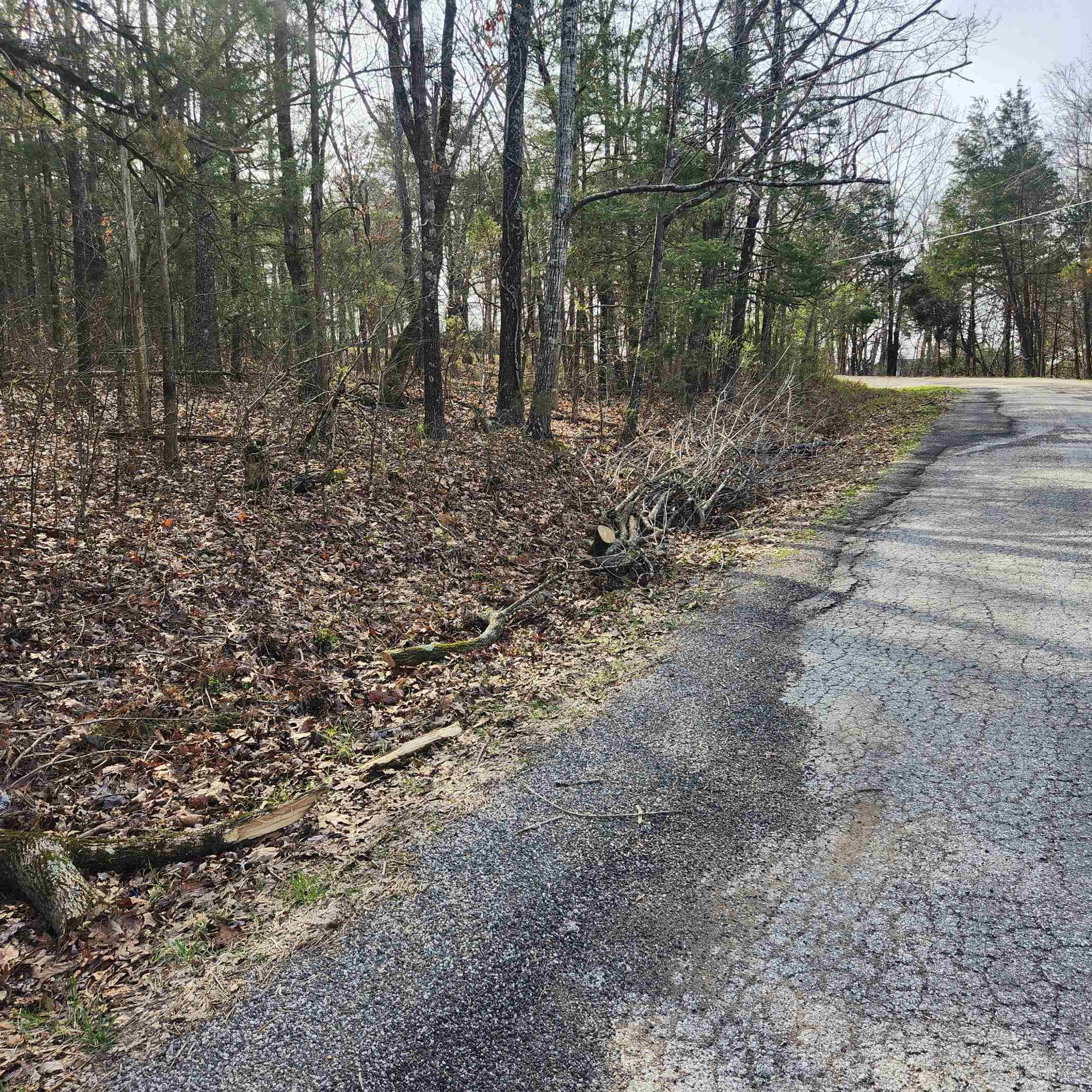 Photo 6 - Vacant Land for sale – L-9, B-25  Yancopin   Cherokee Village, AR