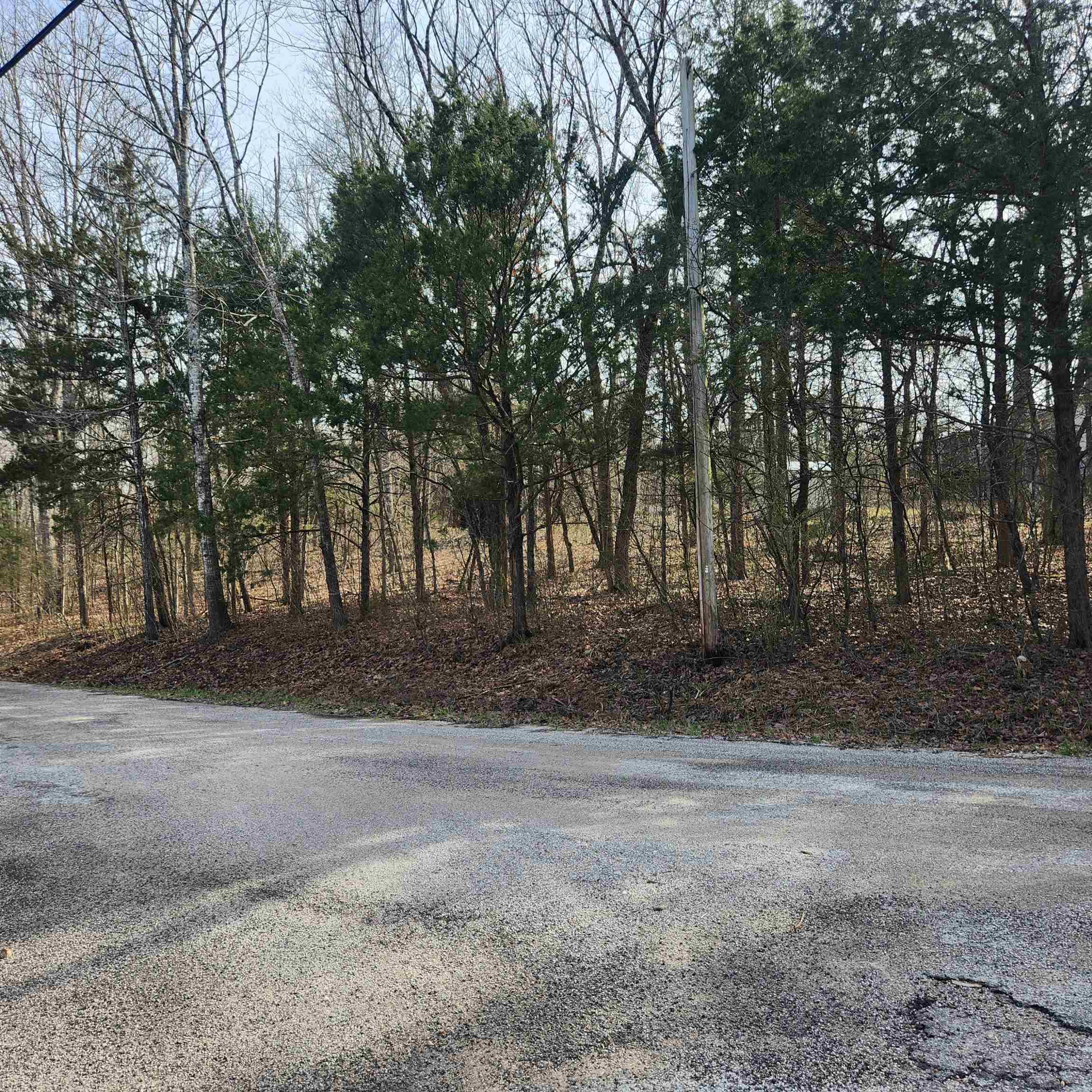 Photo 7 - Vacant Land for sale – L-9, B-25  Yancopin   Cherokee Village, AR