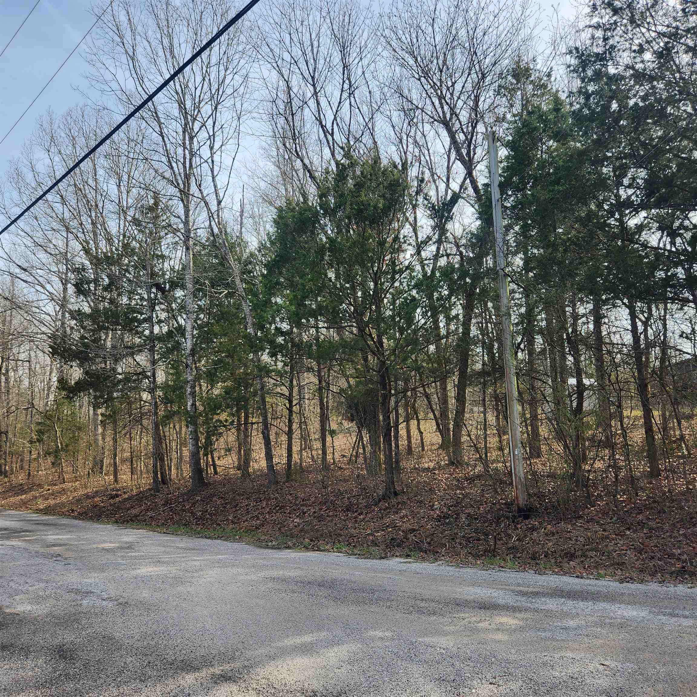 Photo 8 - Vacant Land for sale – L-9, B-25  Yancopin   Cherokee Village, AR