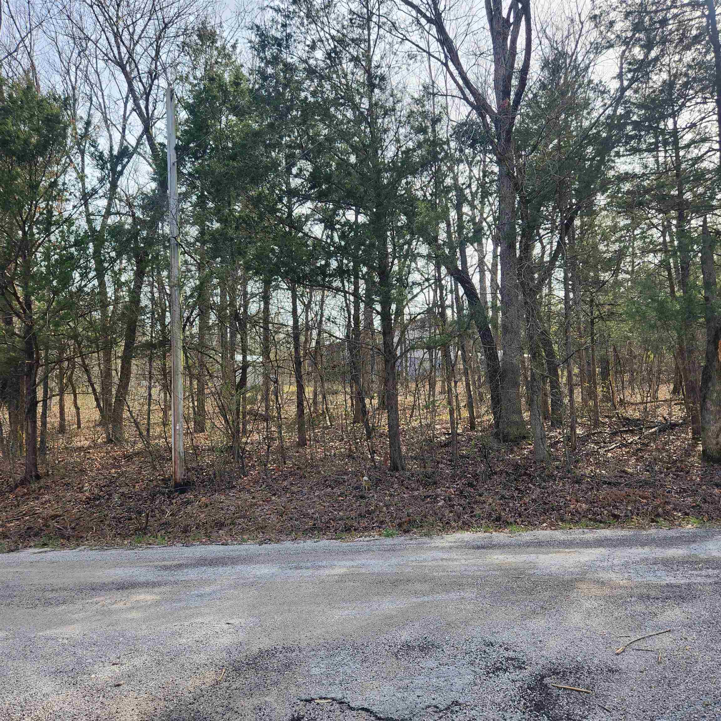 Photo 9 - Vacant Land for sale – L-9, B-25  Yancopin   Cherokee Village, AR