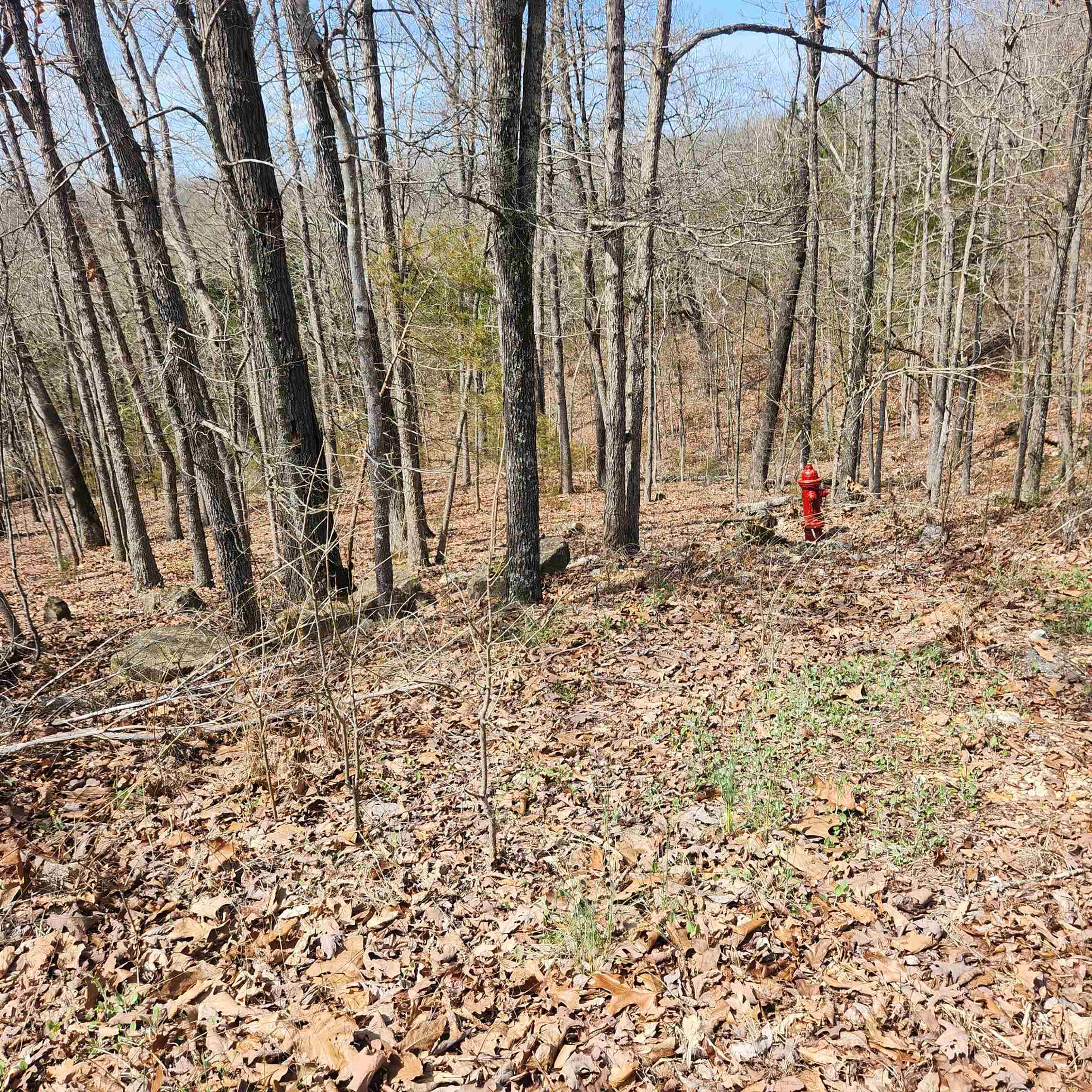 Vacant Land for sale – L-6, B11  Flathead   Cherokee Village, AR