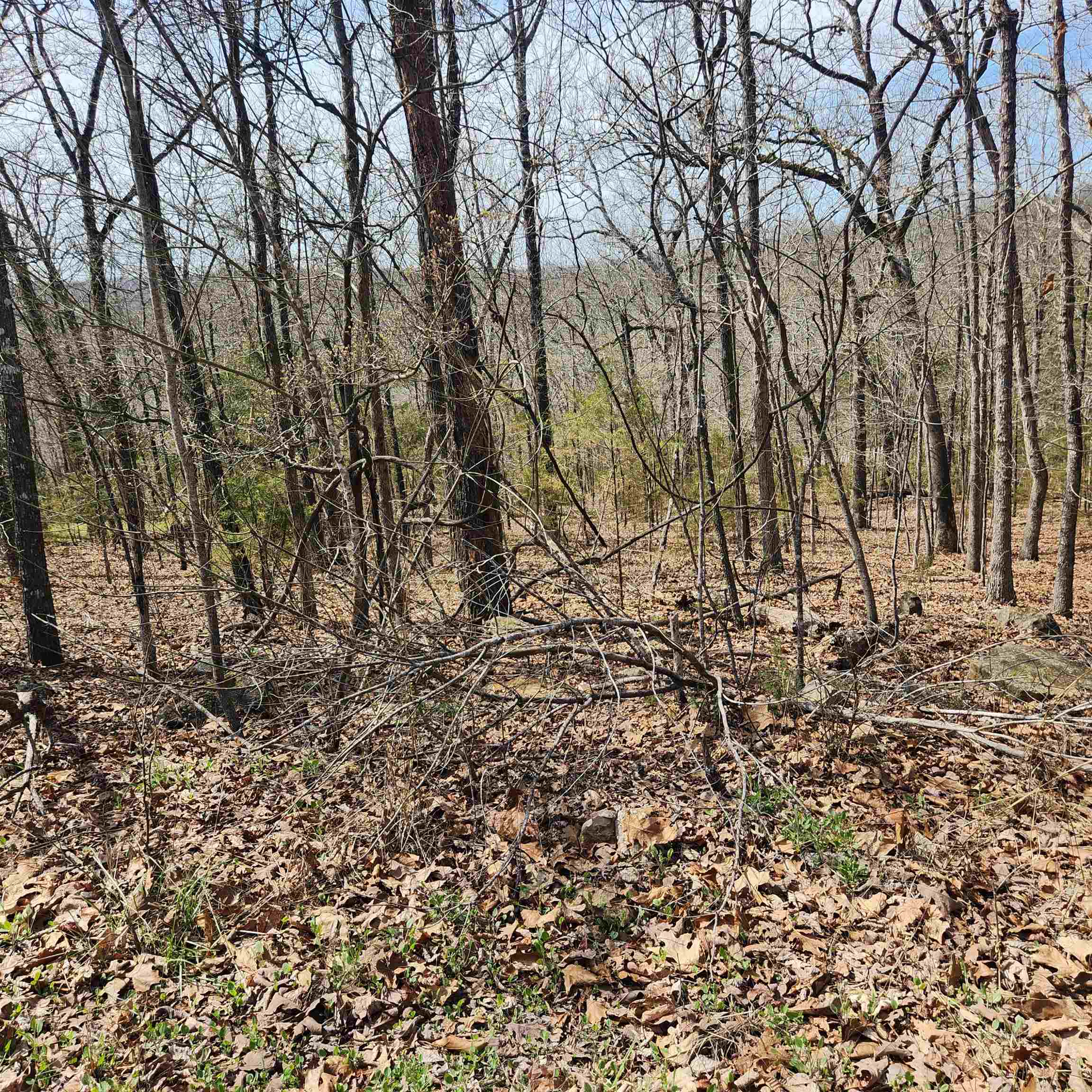 Photo 2 - Vacant Land for sale – L-6, B11  Flathead   Cherokee Village, AR