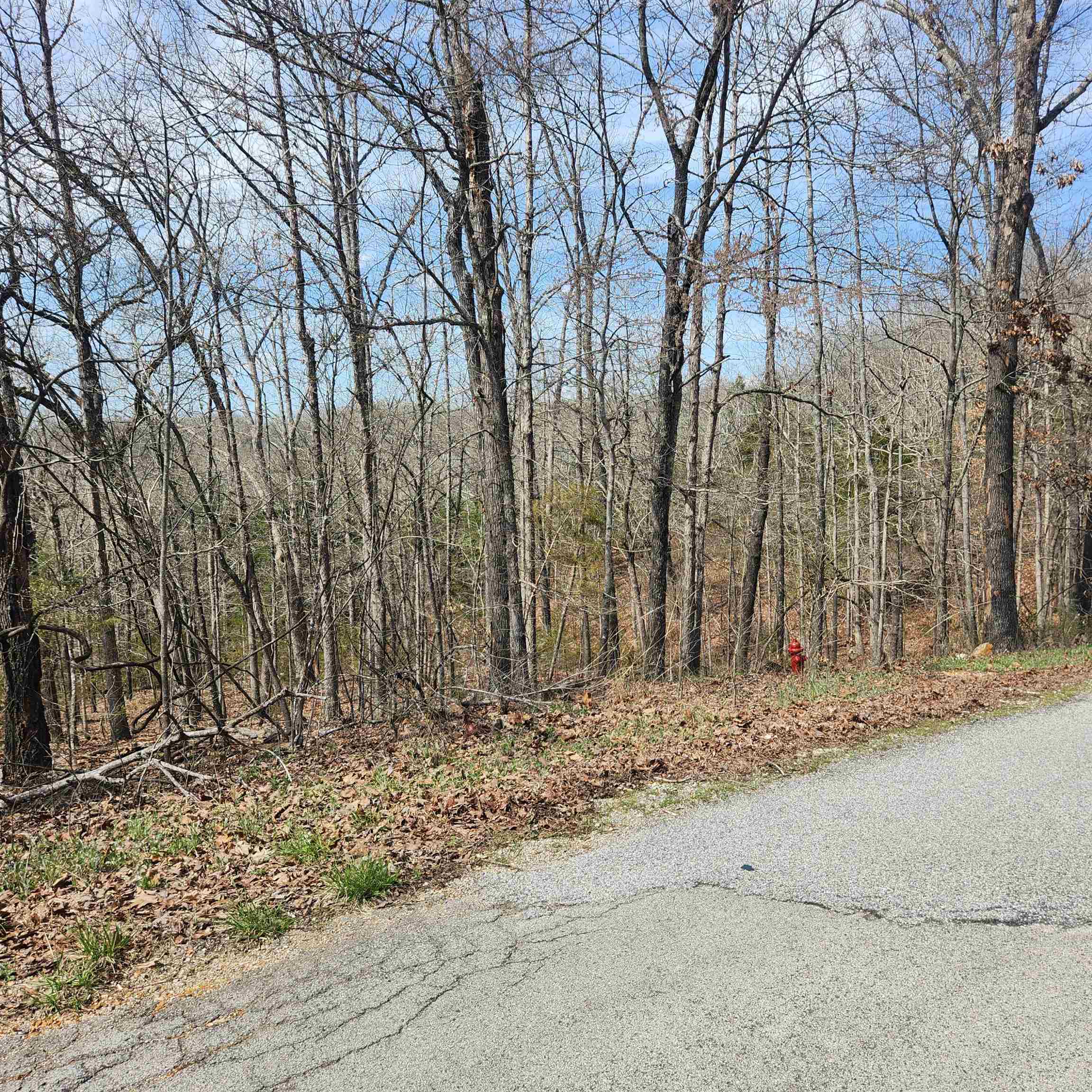 Photo 3 - Vacant Land for sale – L-6, B11  Flathead   Cherokee Village, AR