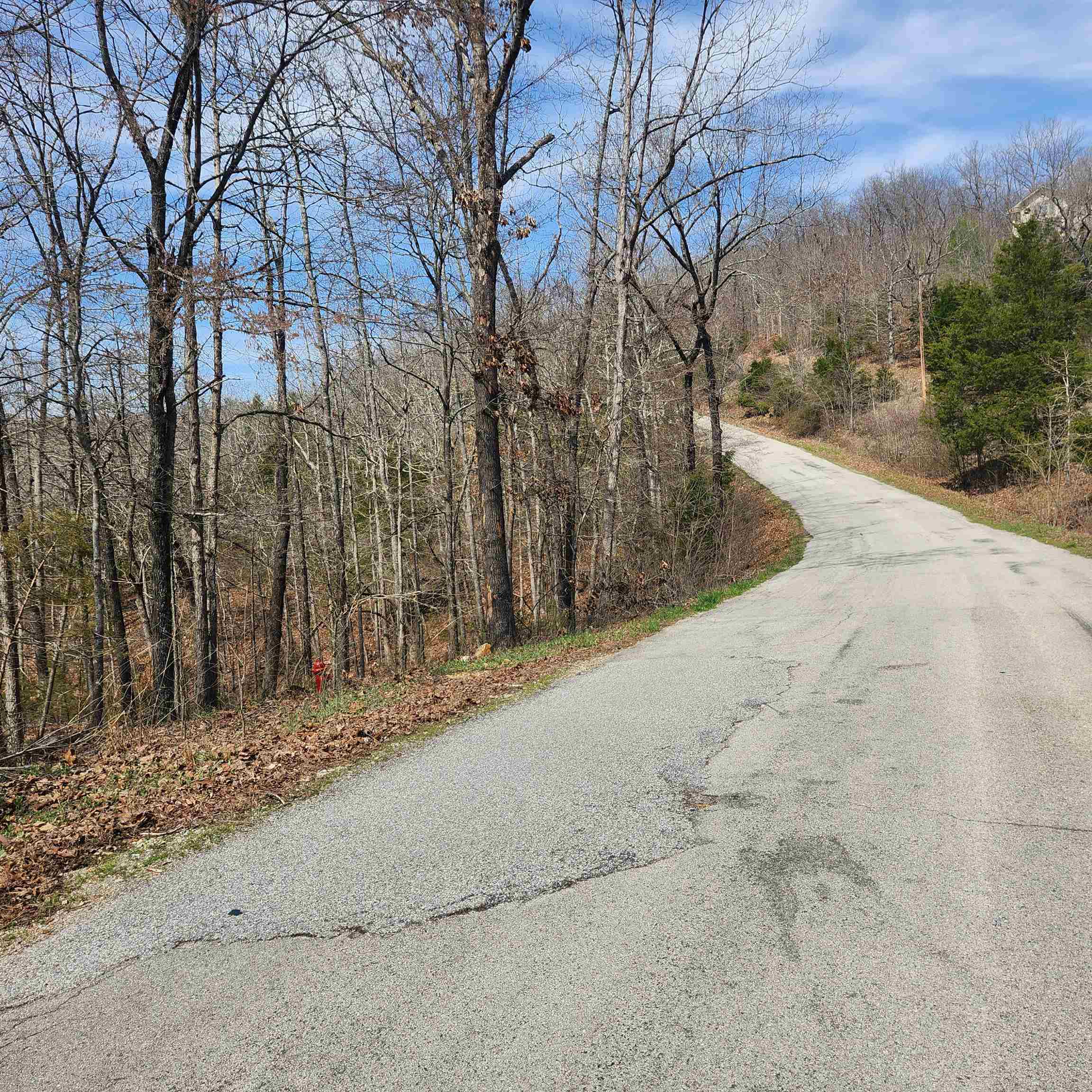 Photo 4 - Vacant Land for sale – L-6, B11  Flathead   Cherokee Village, AR