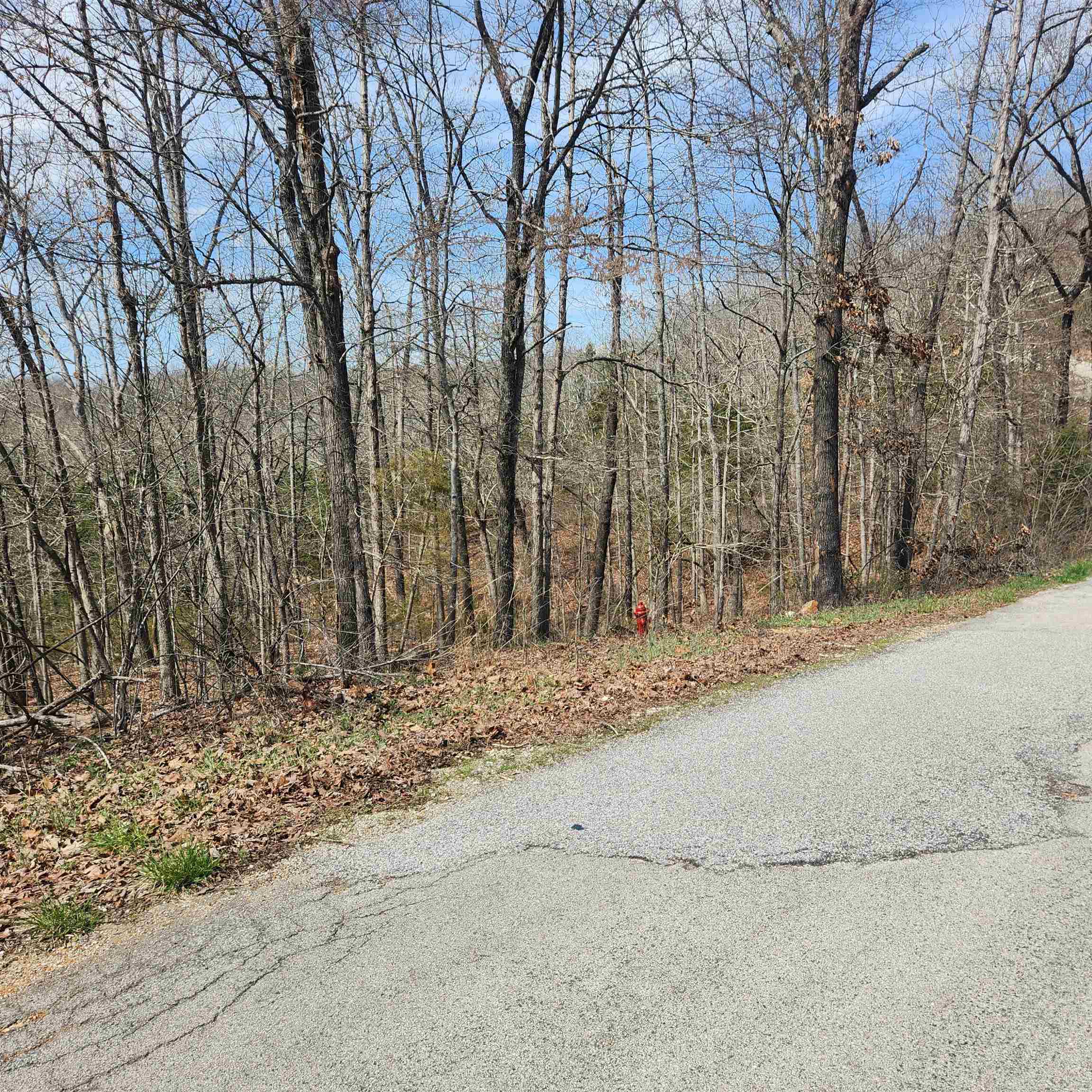 Photo 5 - Vacant Land for sale – L-6, B11  Flathead   Cherokee Village, AR