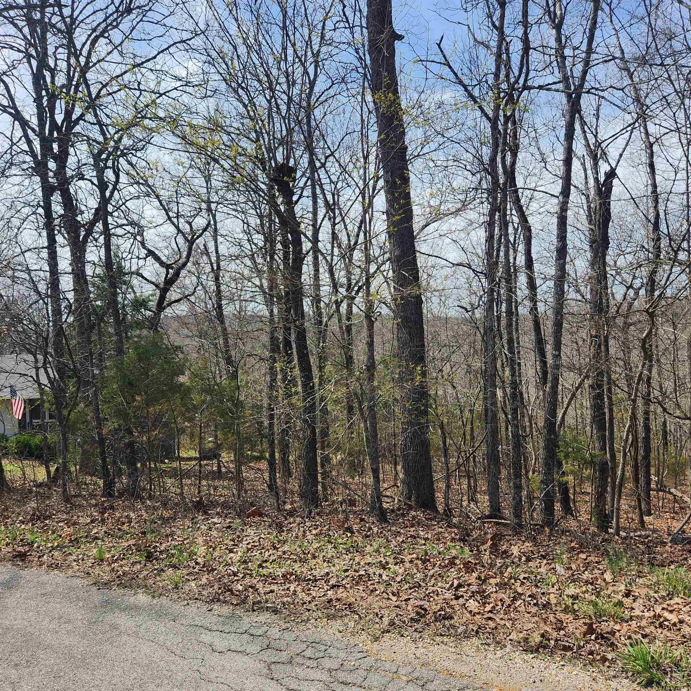 Photo 6 - Vacant Land for sale – L-6, B11  Flathead   Cherokee Village, AR