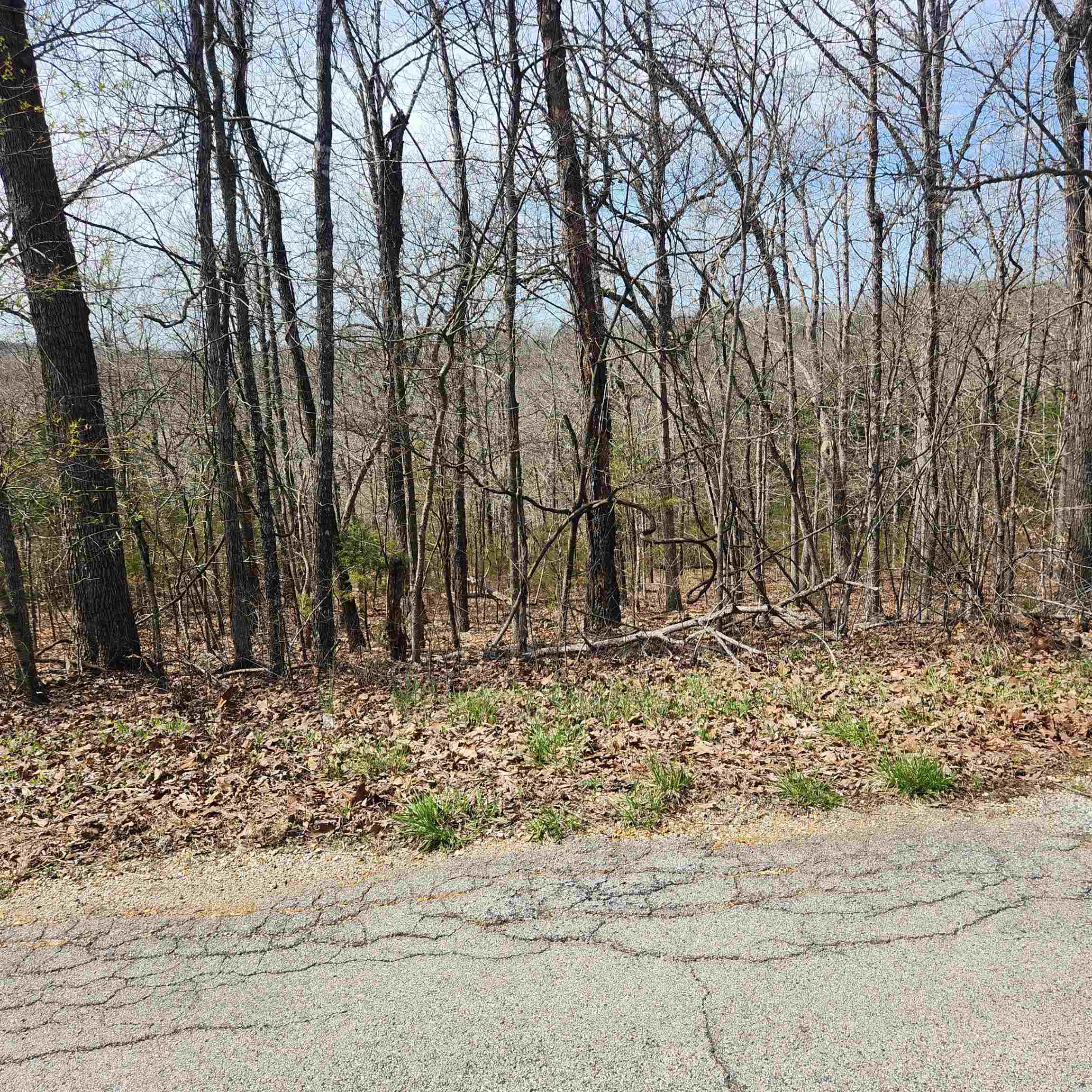 Photo 7 - Vacant Land for sale – L-6, B11  Flathead   Cherokee Village, AR